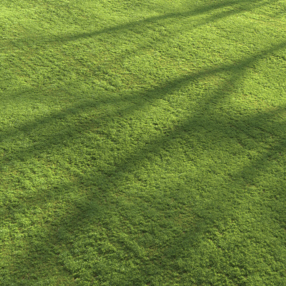 Modern Grass 3D model_3