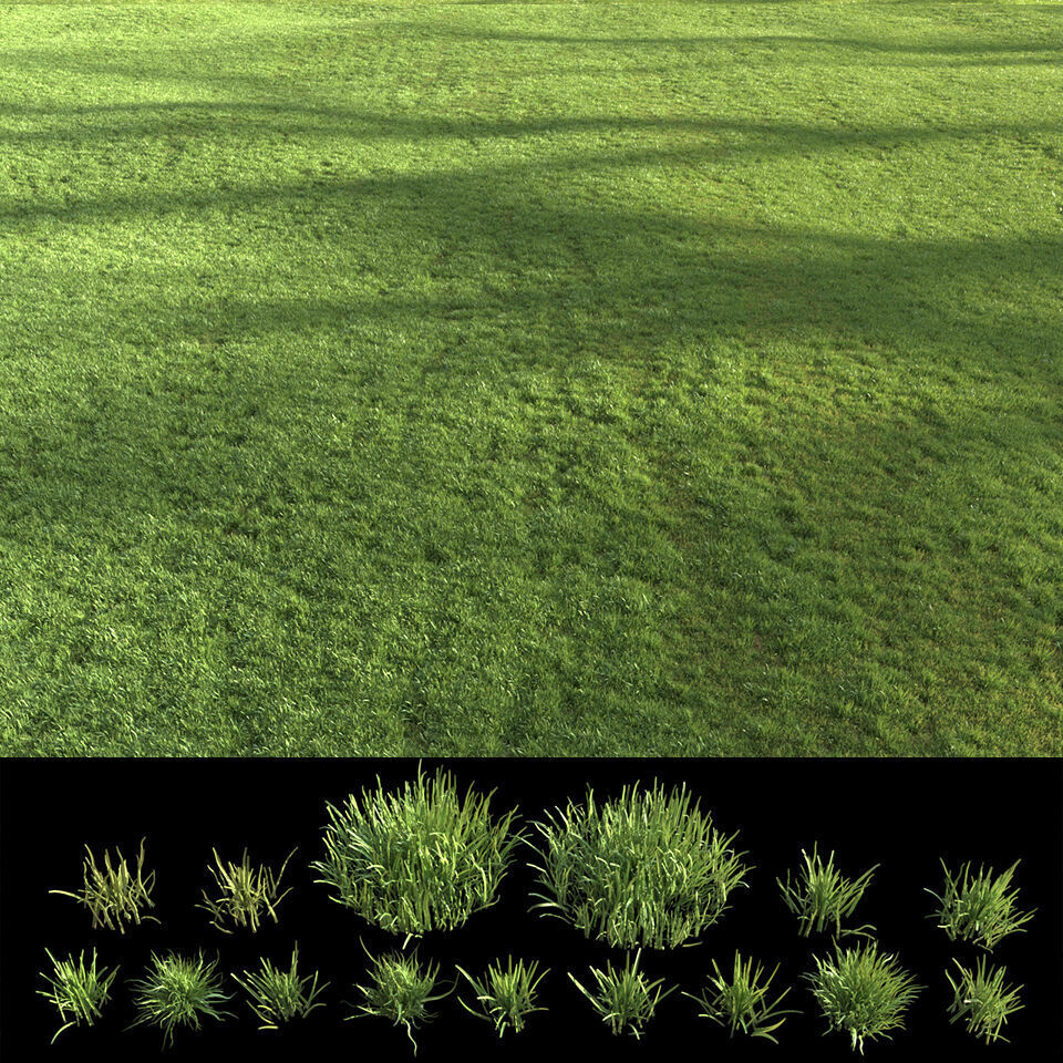 Modern Grass 3D model_4