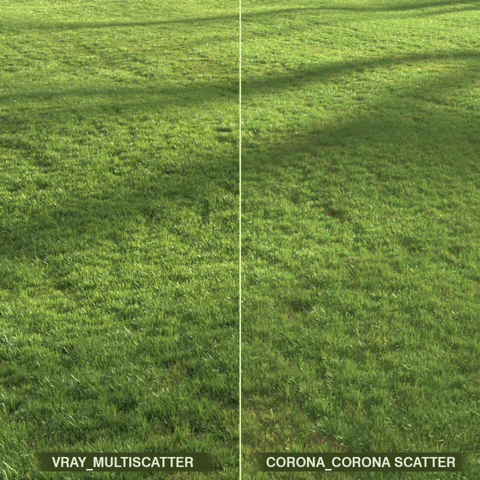 Modern Grass 3D model_2