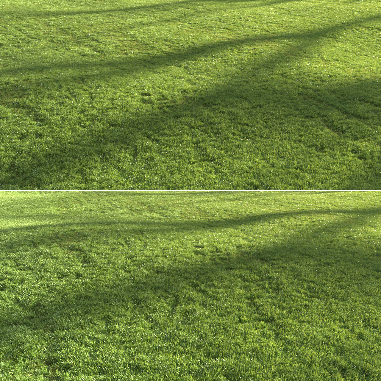 Modern Grass 3D model_7