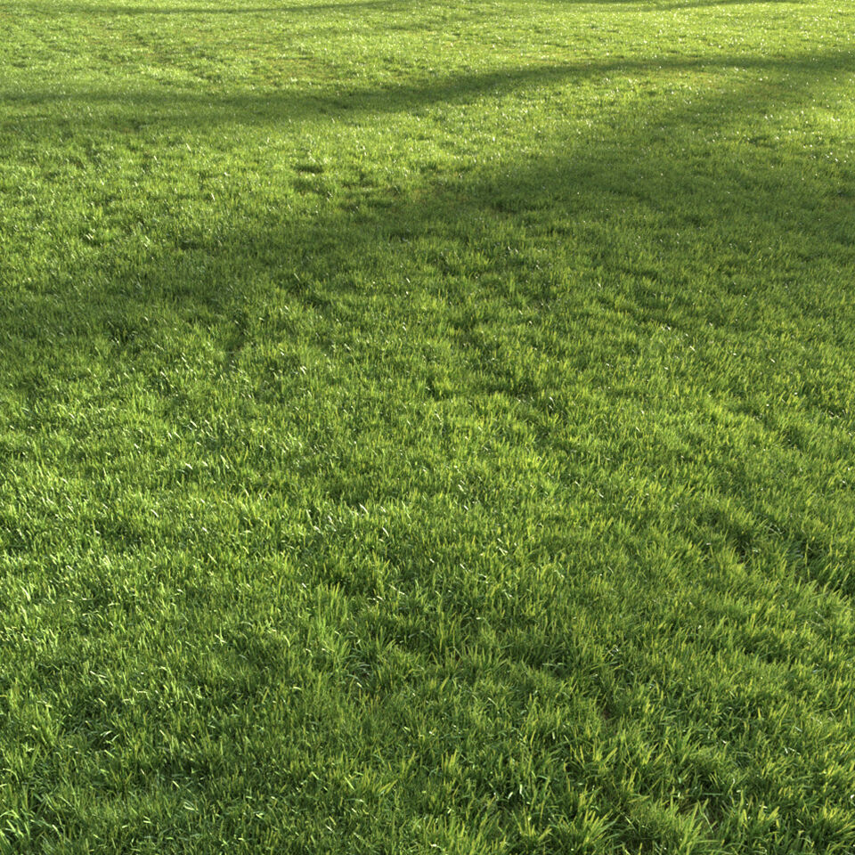 Modern Grass 3D model_5