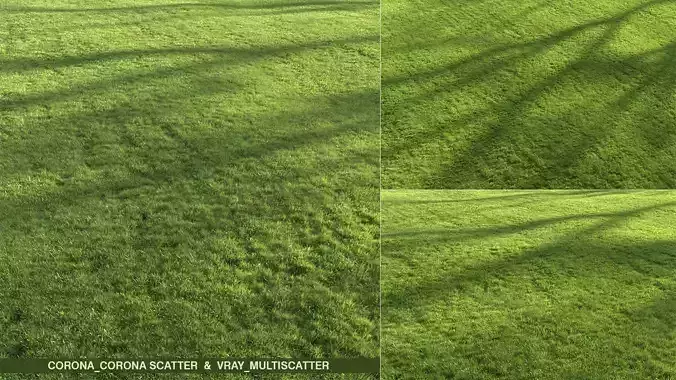 Modern Grass 3D model Modern Grass 3D model