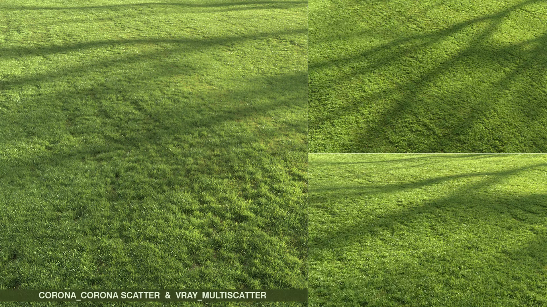 Modern Grass 3D model_0