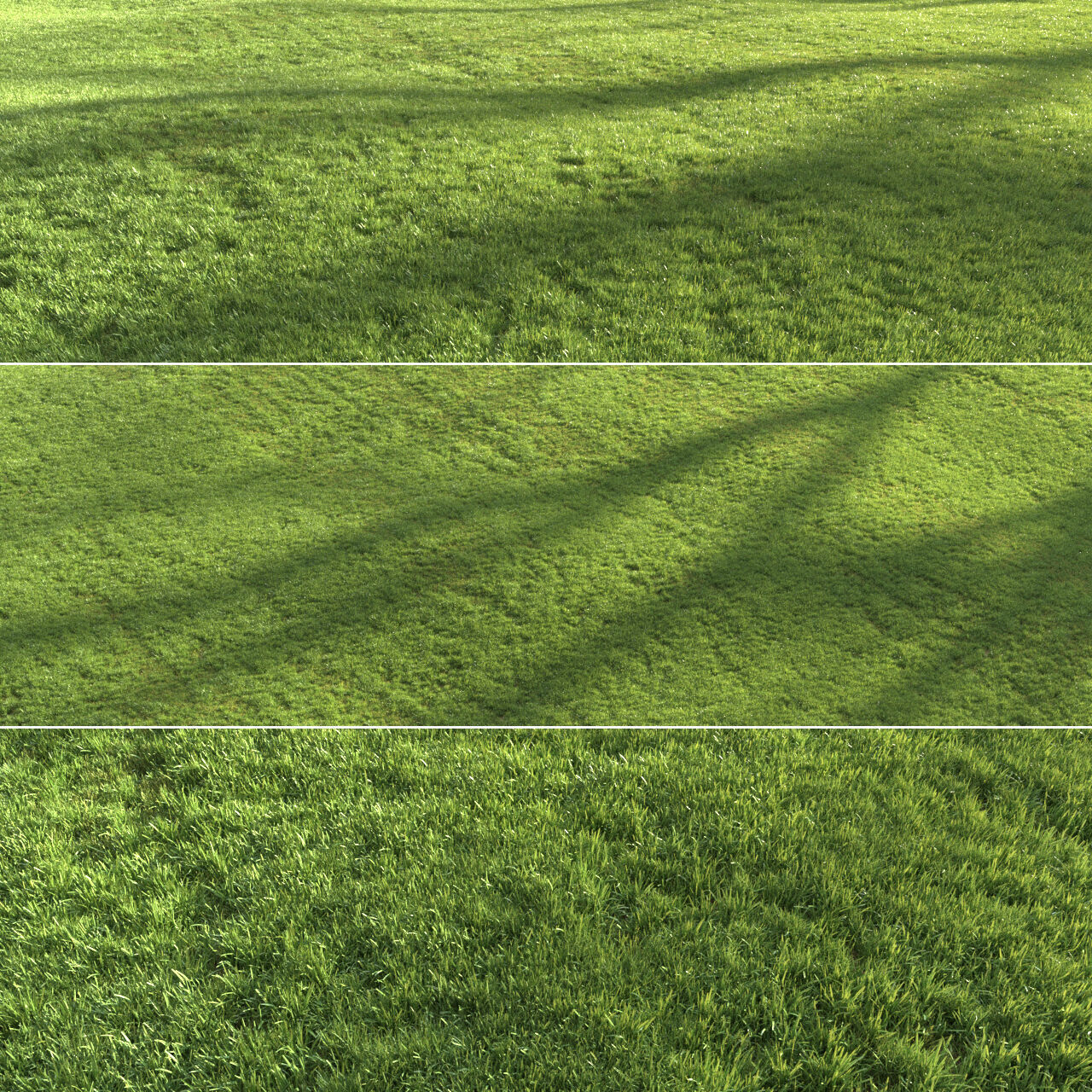 Modern Grass 3D model_1