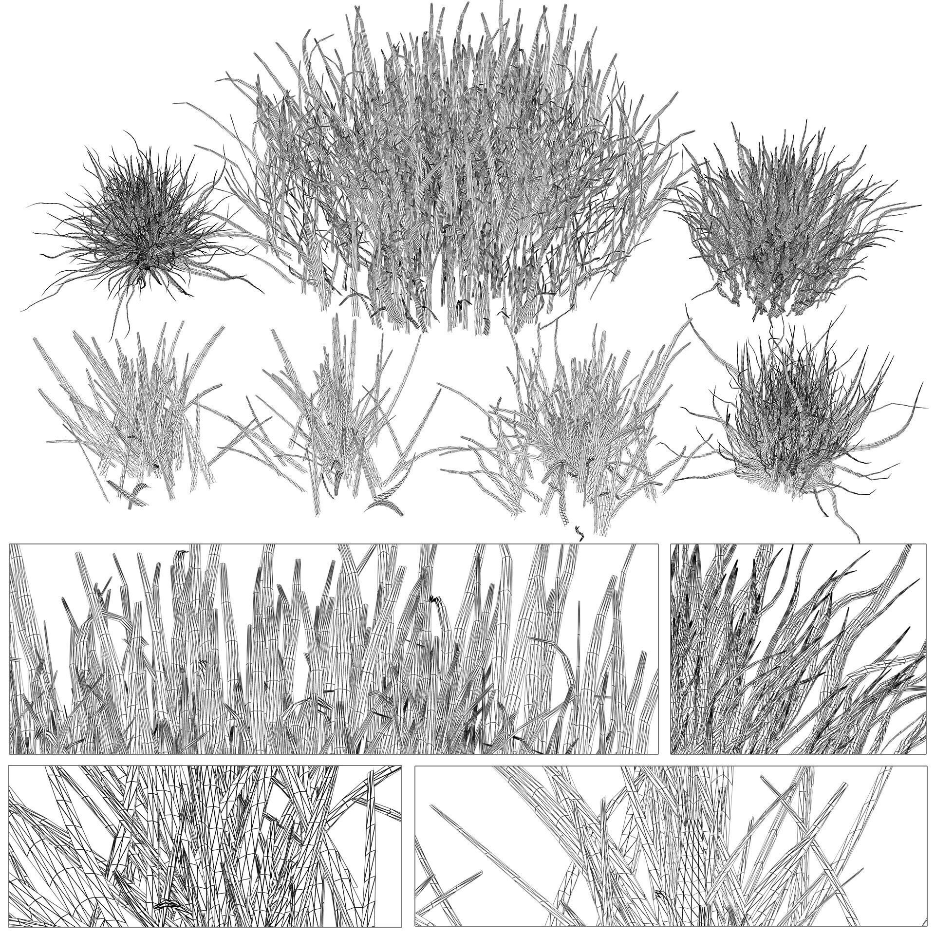 Modern Grass 3D model_6