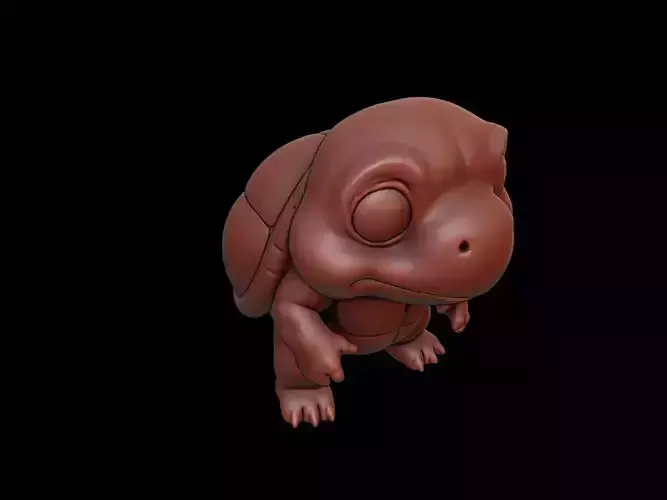 Turtle Animal Cartoon