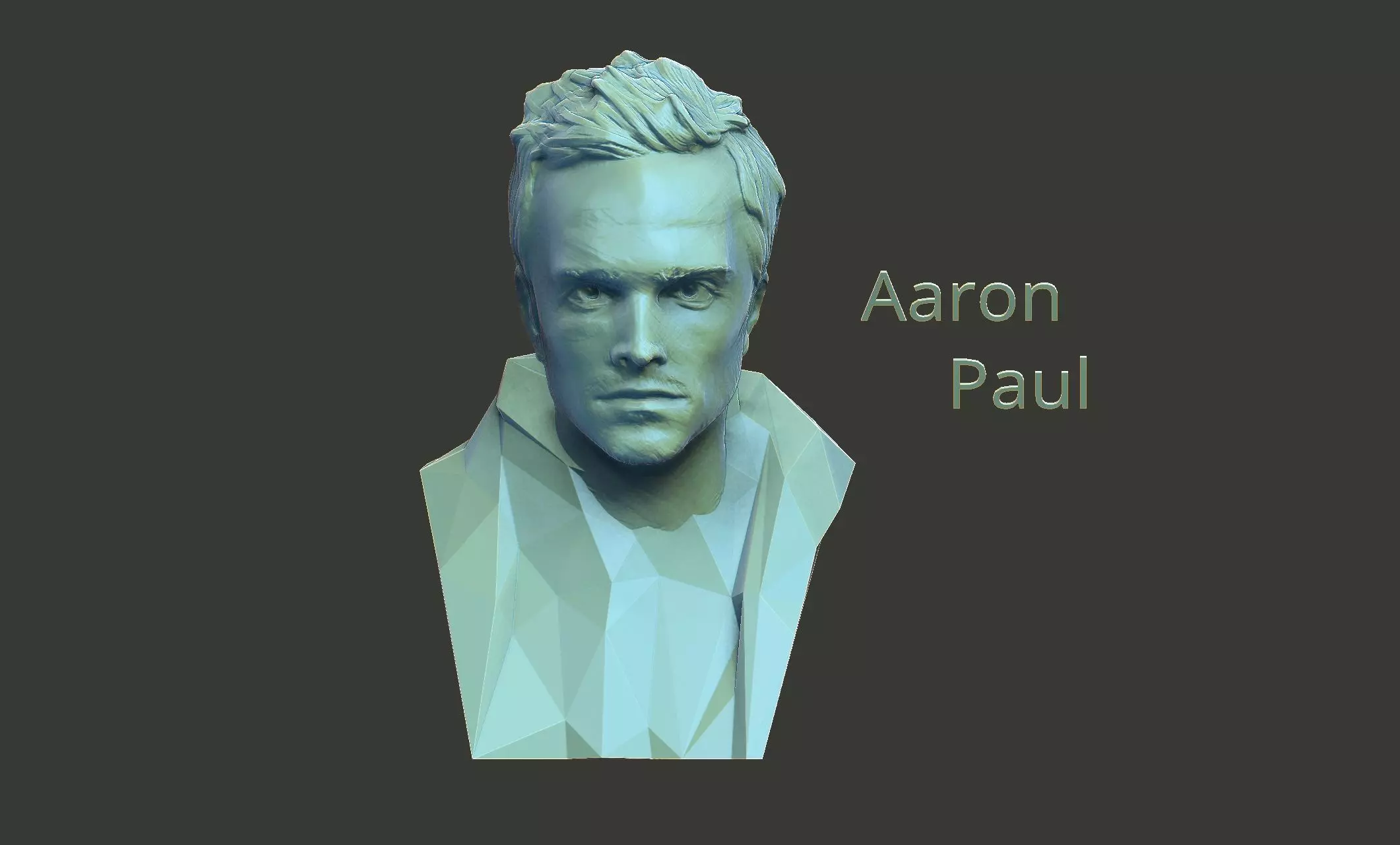 Aaron Paul breaking bad 3D print model