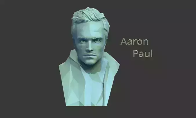 Aaron Paul  breaking bad 