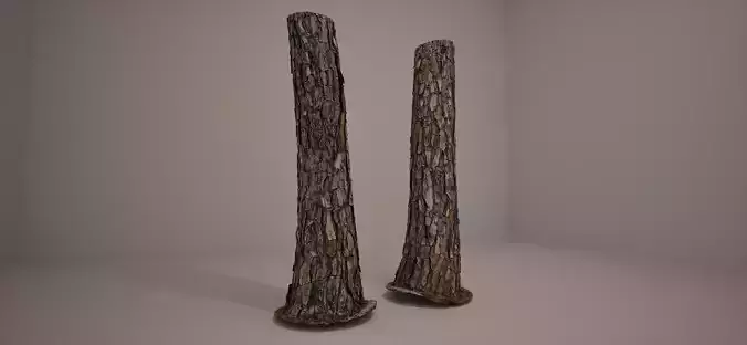 Loblolly Pine Scan with Full Res Textures and Simplified 3D model
