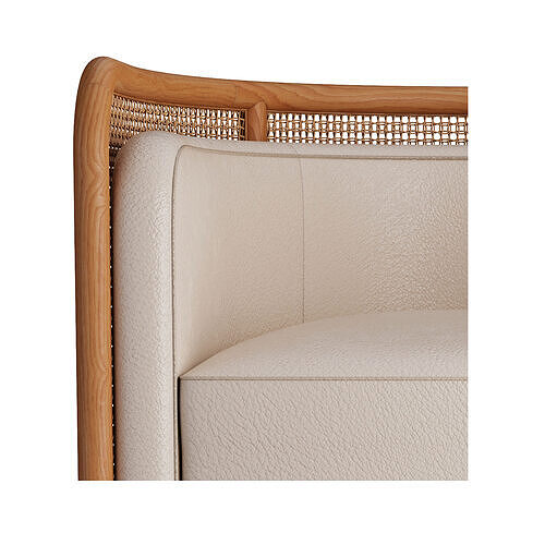 Fields Cane Chair 3D model 5
