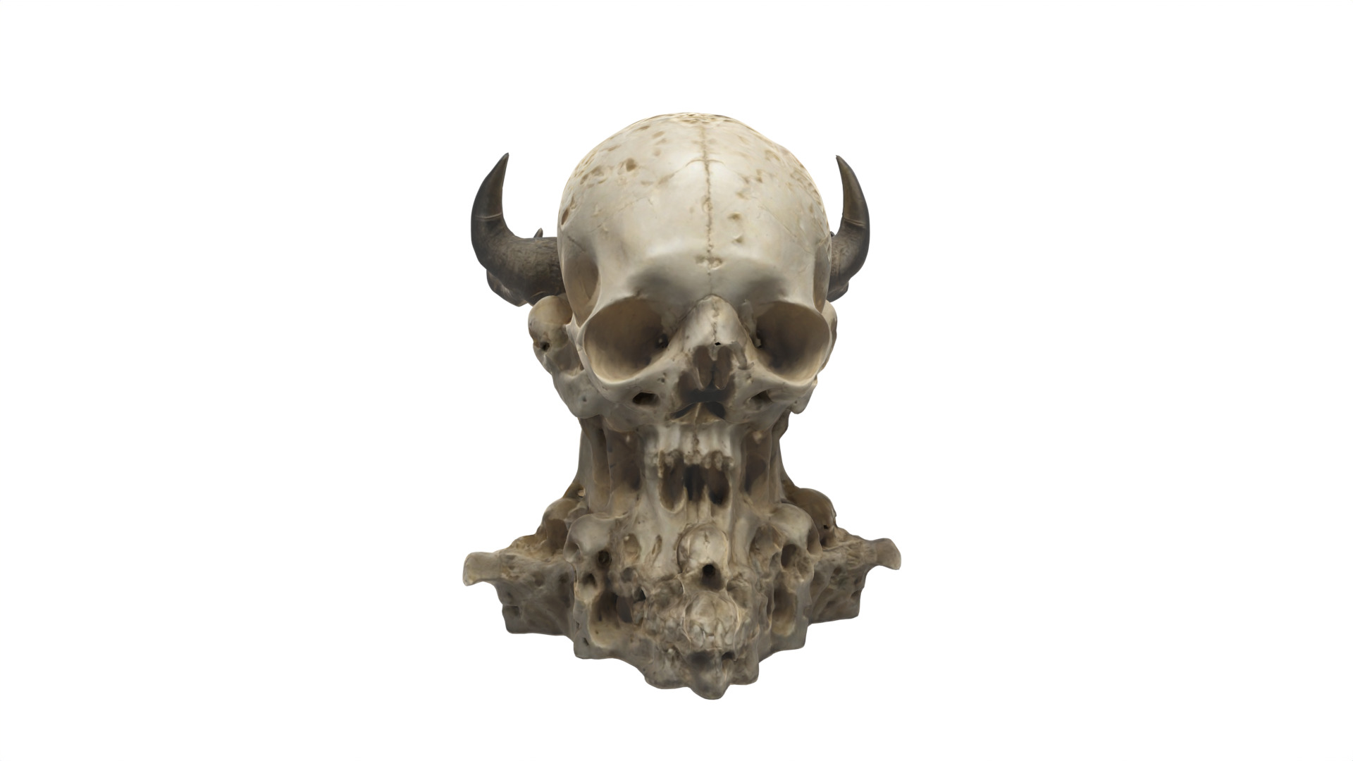 skull Low-poly 3D model_5