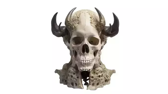 skull