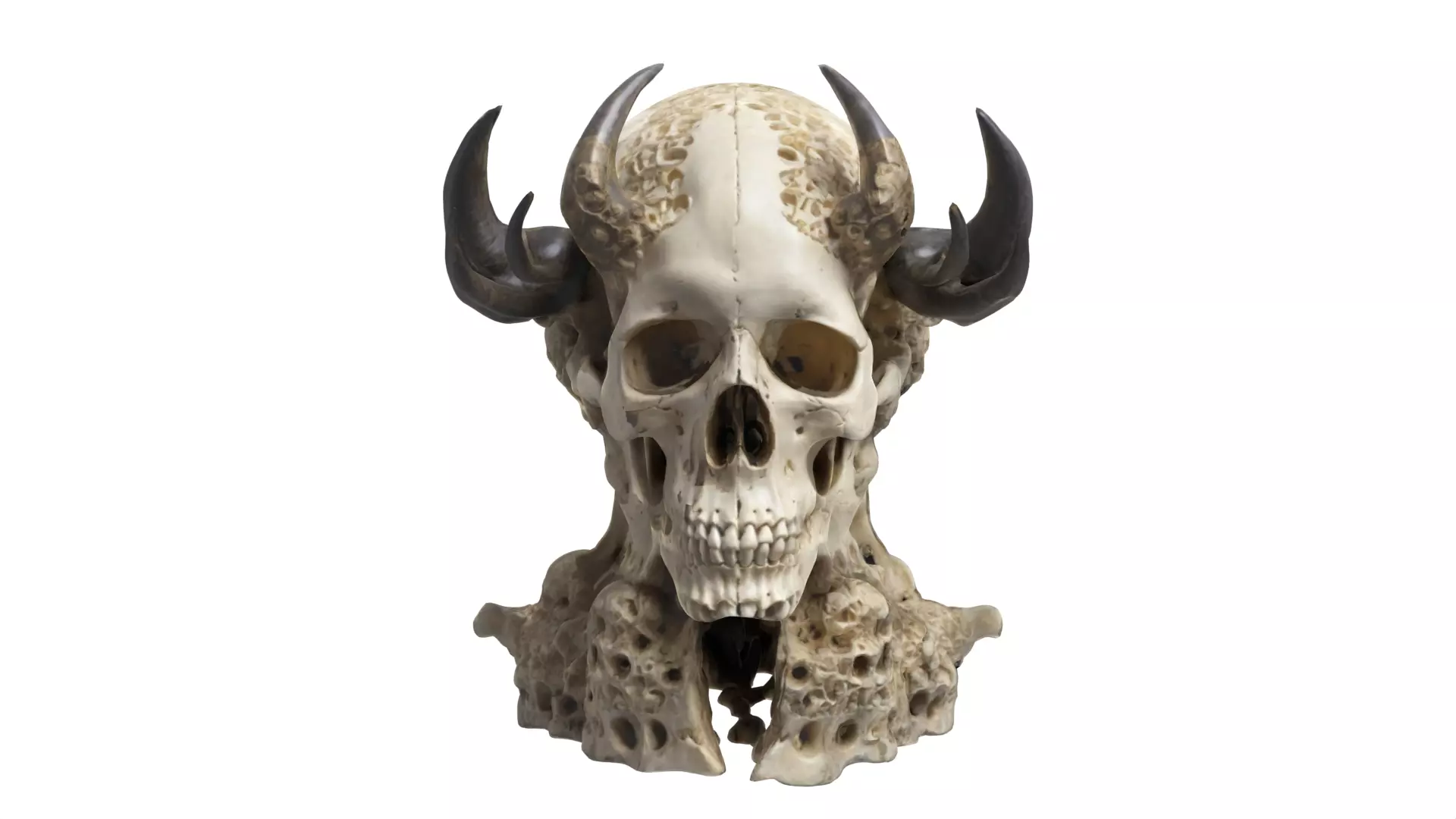 skull Low-poly 3D model_0