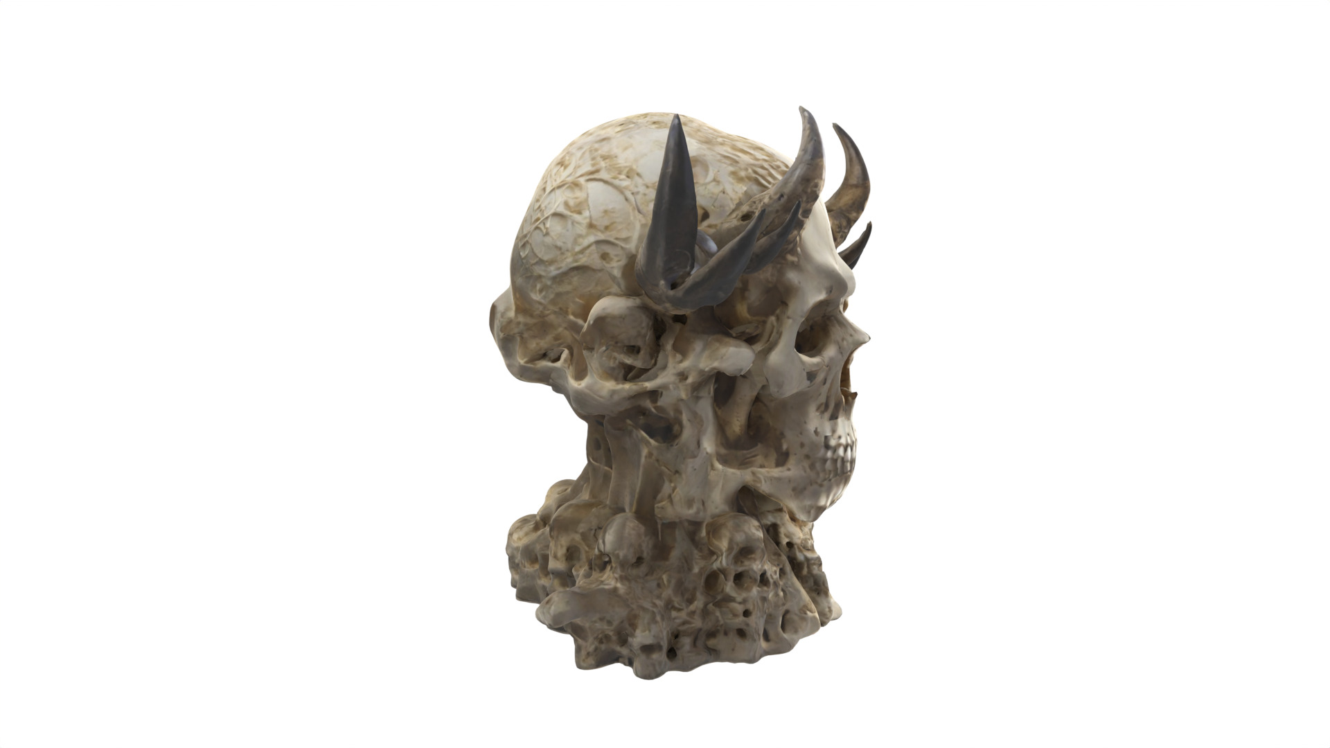 skull Low-poly 3D model_3