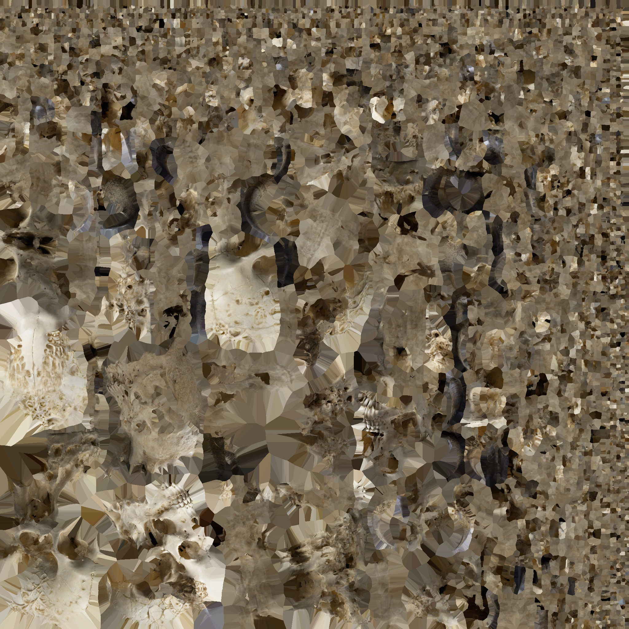 skull Low-poly 3D model_8