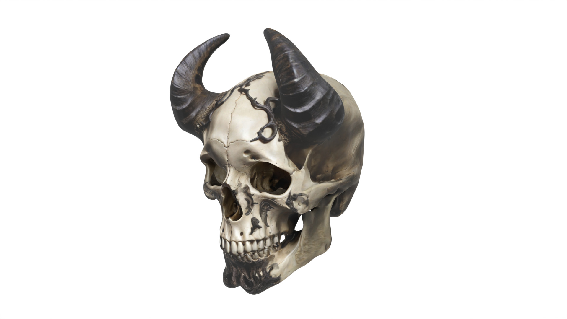 skull 03 Low-poly 3D model_2