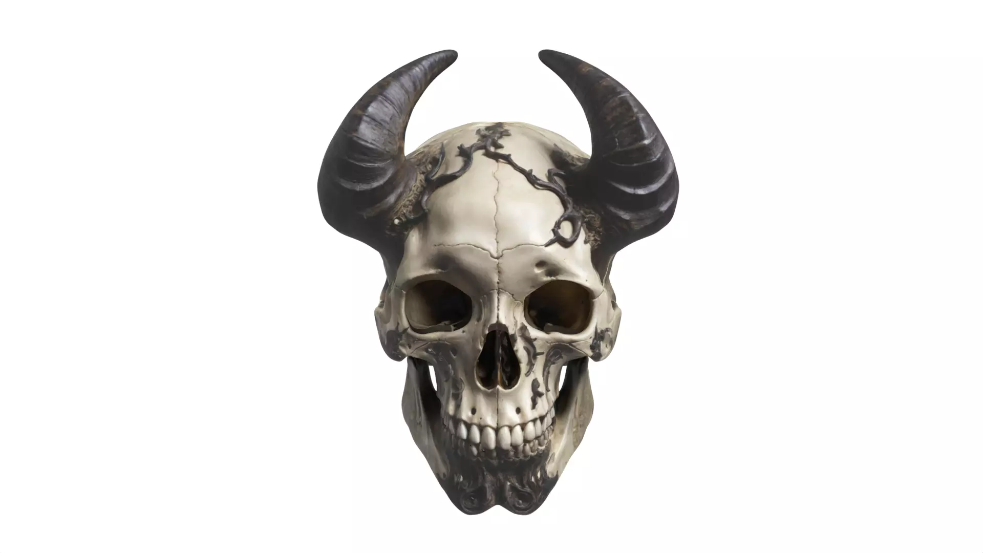 skull 03 Low-poly 3D model_0