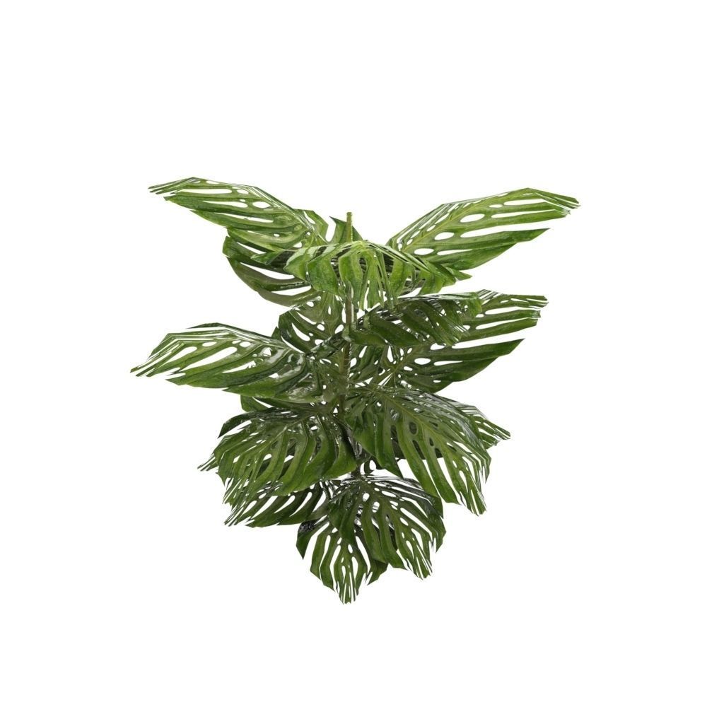Tropical Plant Collection Low-poly 3D model_13
