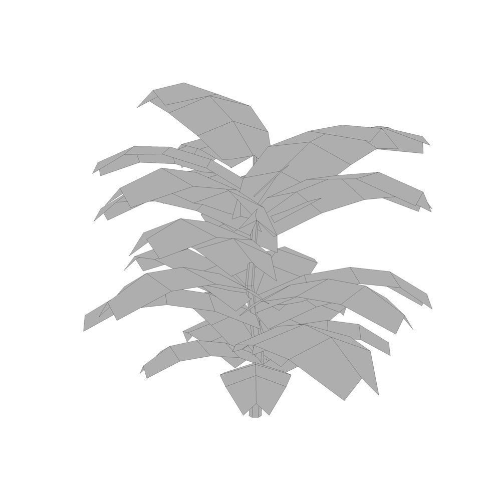 Tropical Plant Collection Low-poly 3D model_8