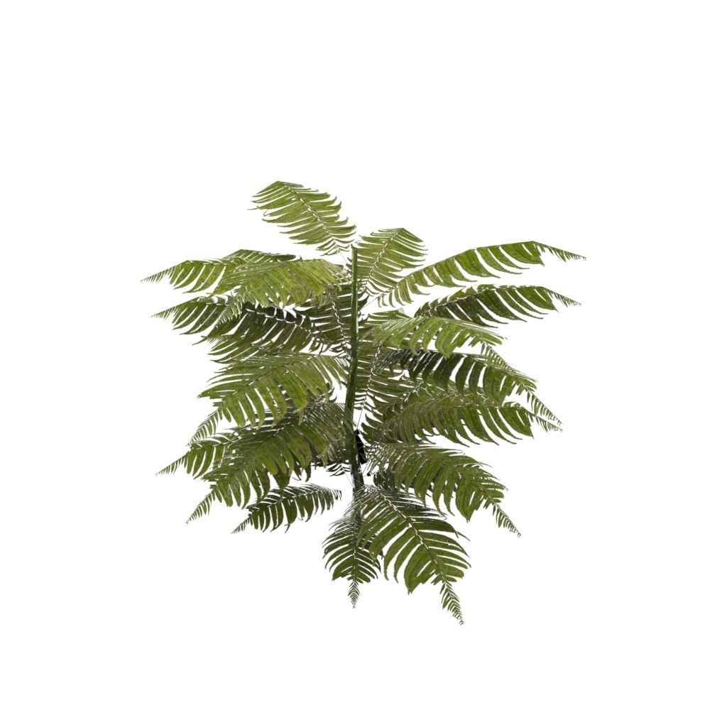 Tropical Plant Collection Low-poly 3D model_9