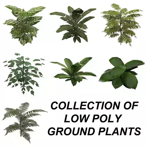 Tropical Plant Collection Low-poly 3D model
