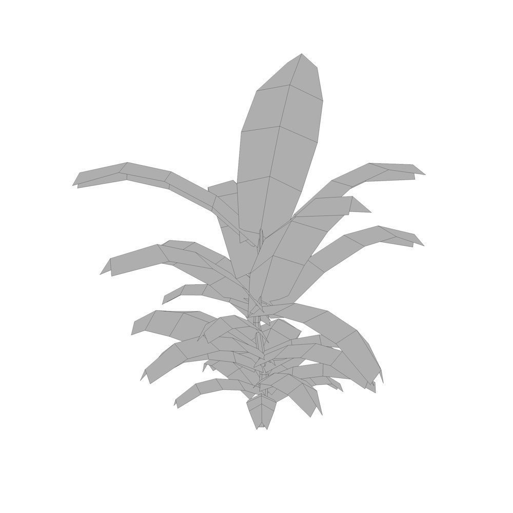 Tropical Plant Collection Low-poly 3D model_12