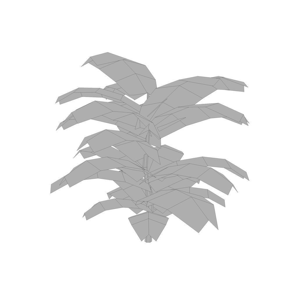 Tropical Plant Collection Low-poly 3D model_10