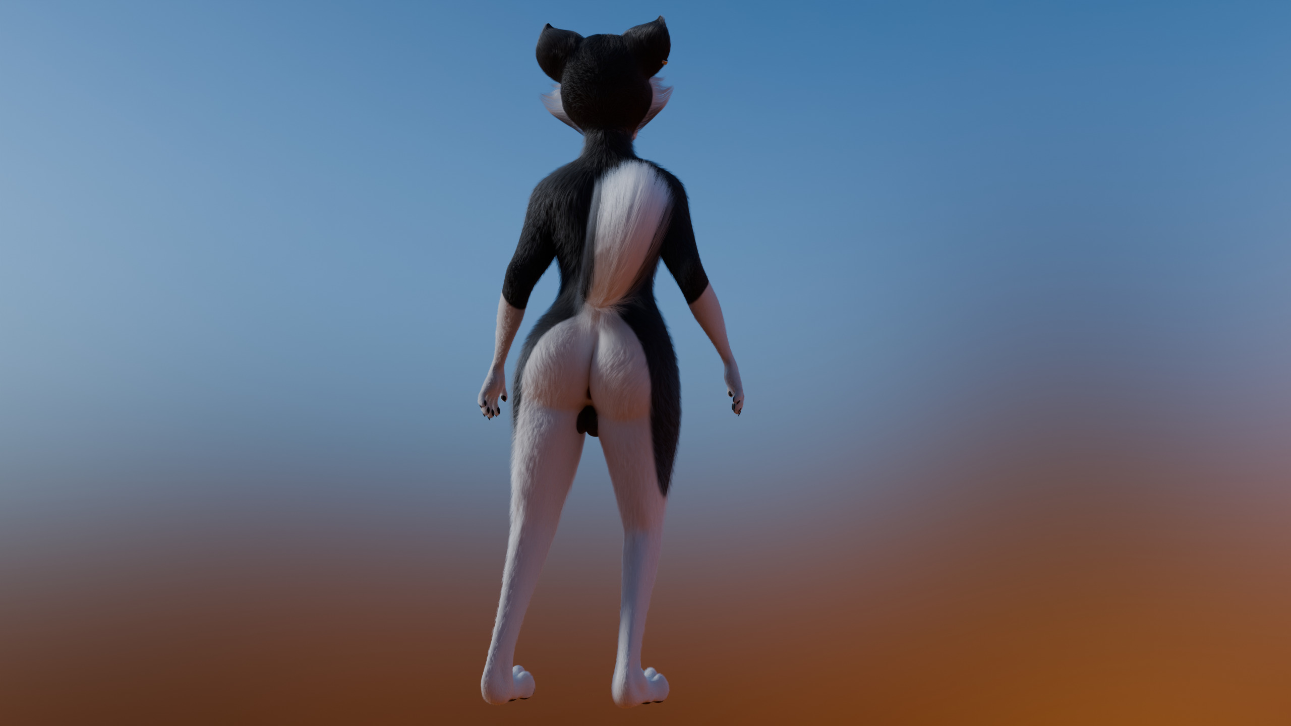 Thomas Anthro Husky Low-poly 3D model_24