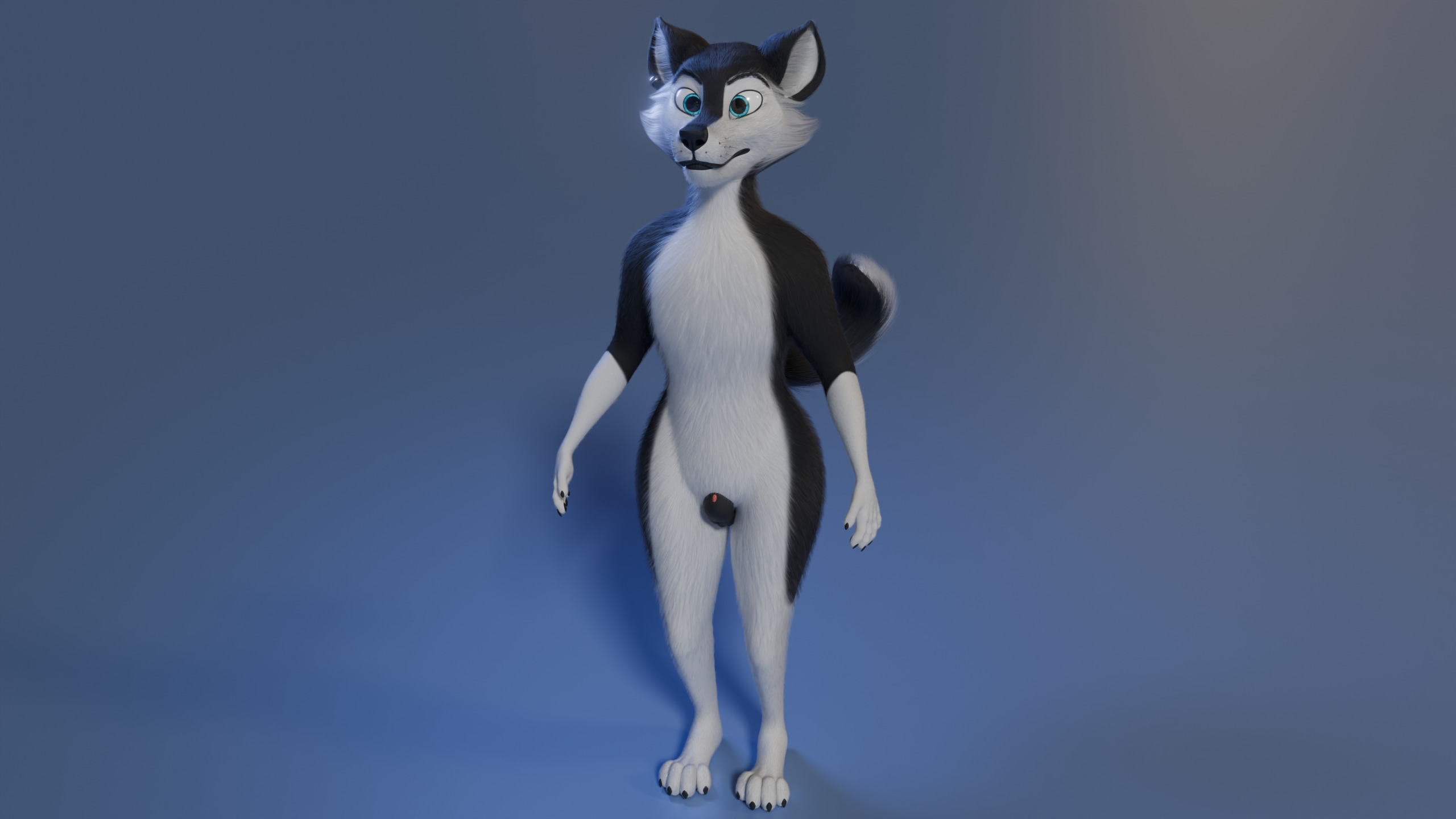 Thomas Anthro Husky Low-poly 3D model_36