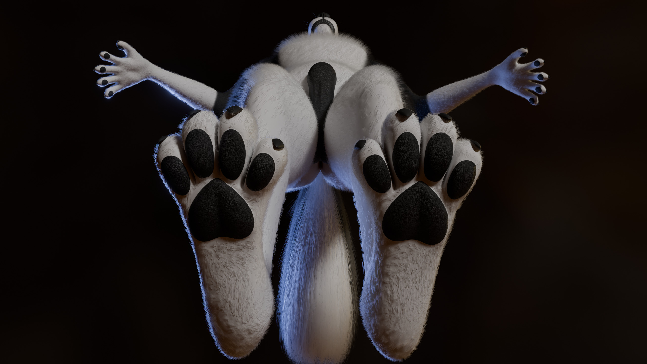 Thomas Anthro Husky Low-poly 3D model_13