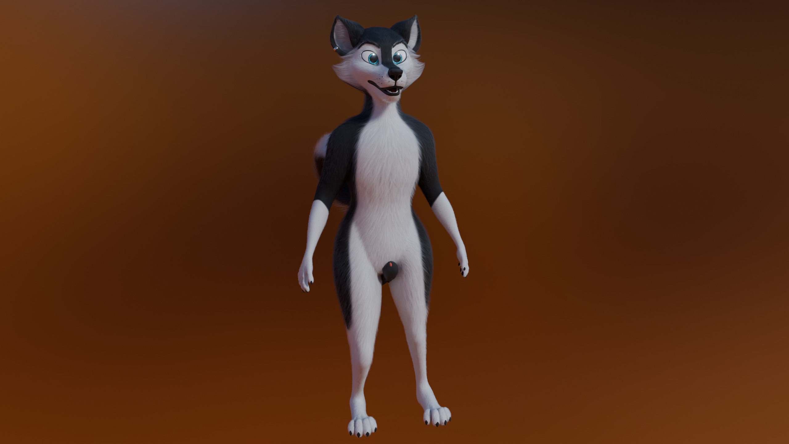 Thomas Anthro Husky Low-poly 3D model_20