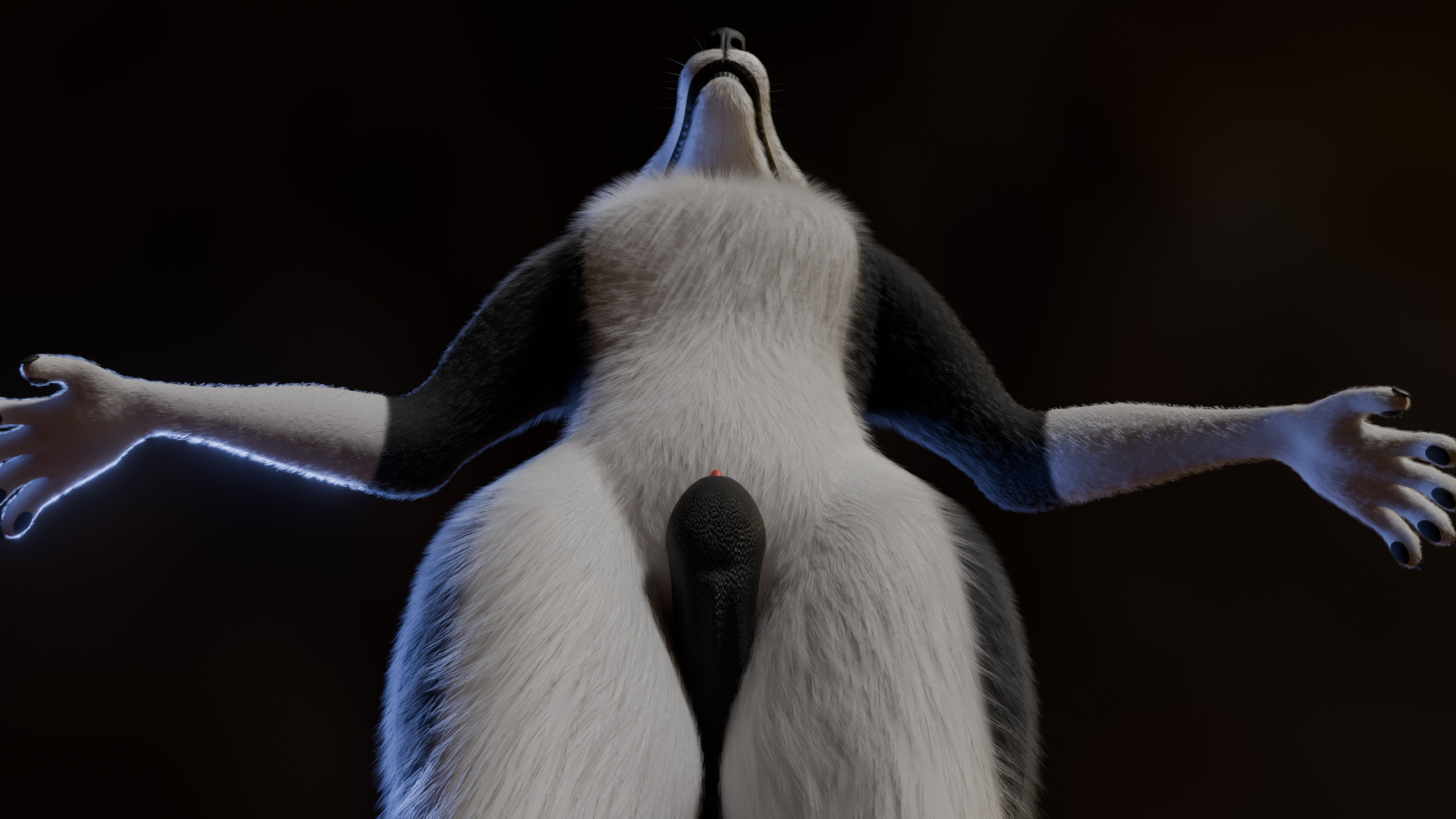 Thomas Anthro Husky Low-poly 3D model_14