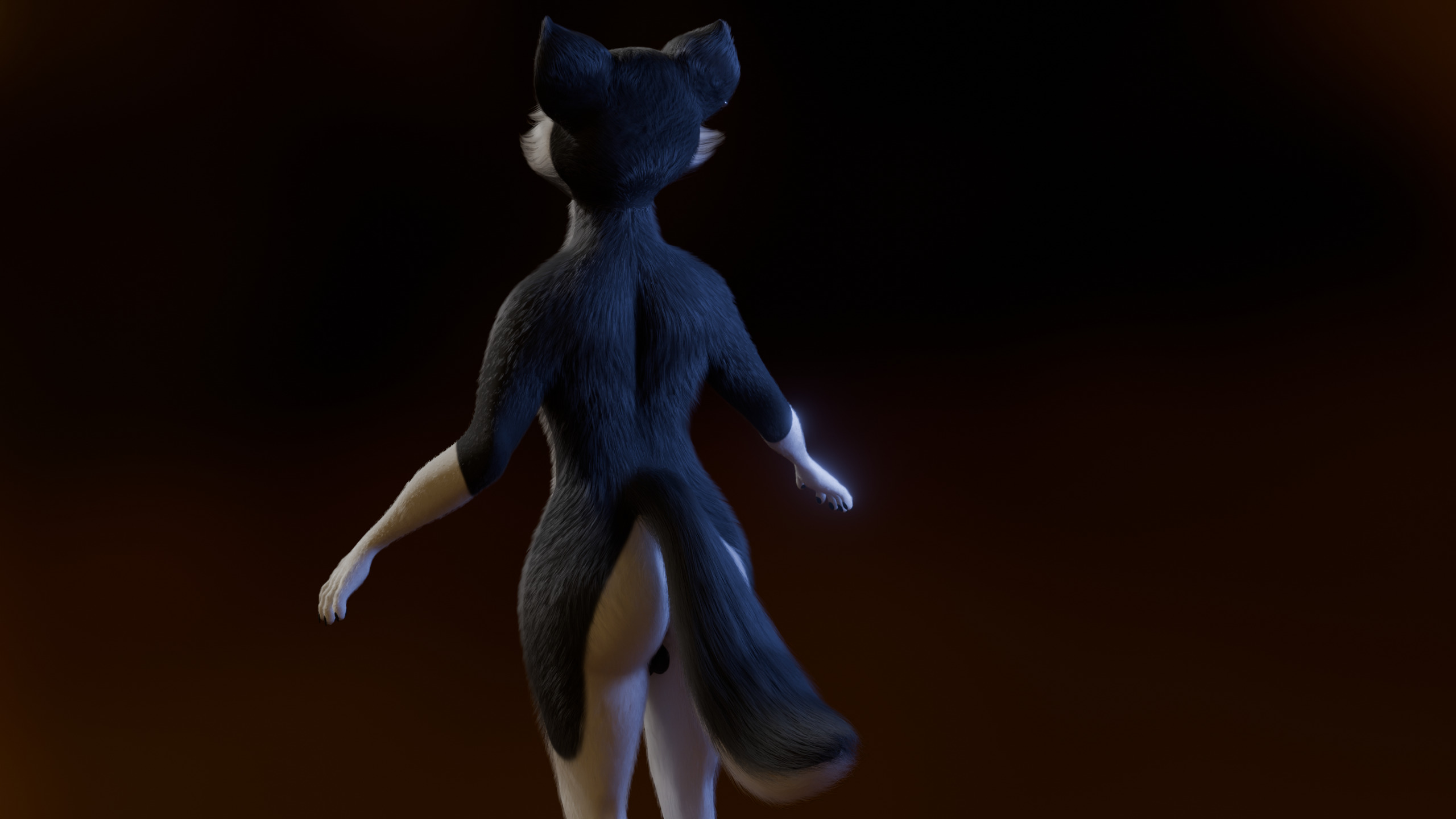 Thomas Anthro Husky Low-poly 3D model_6