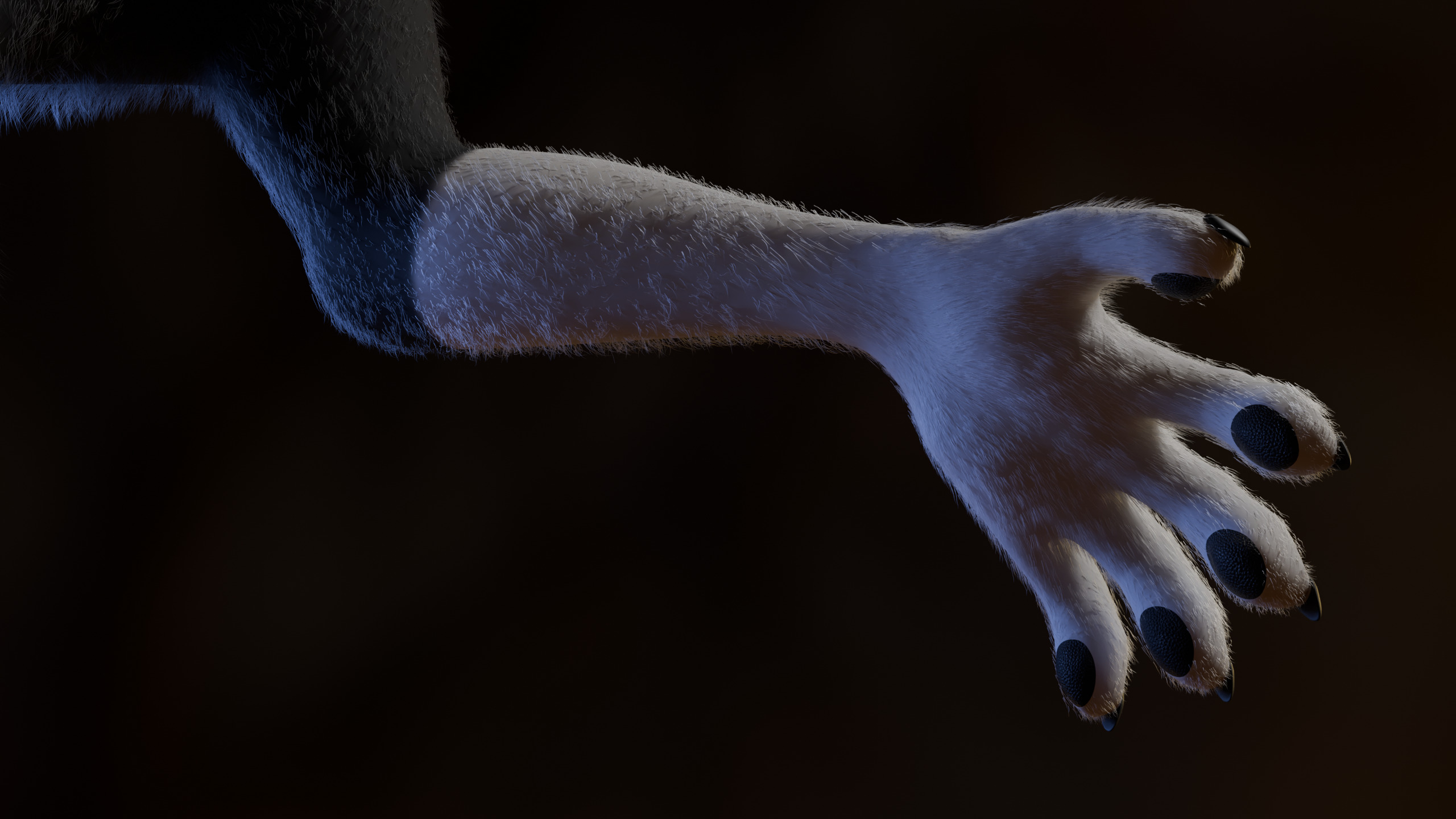 Thomas Anthro Husky Low-poly 3D model_11