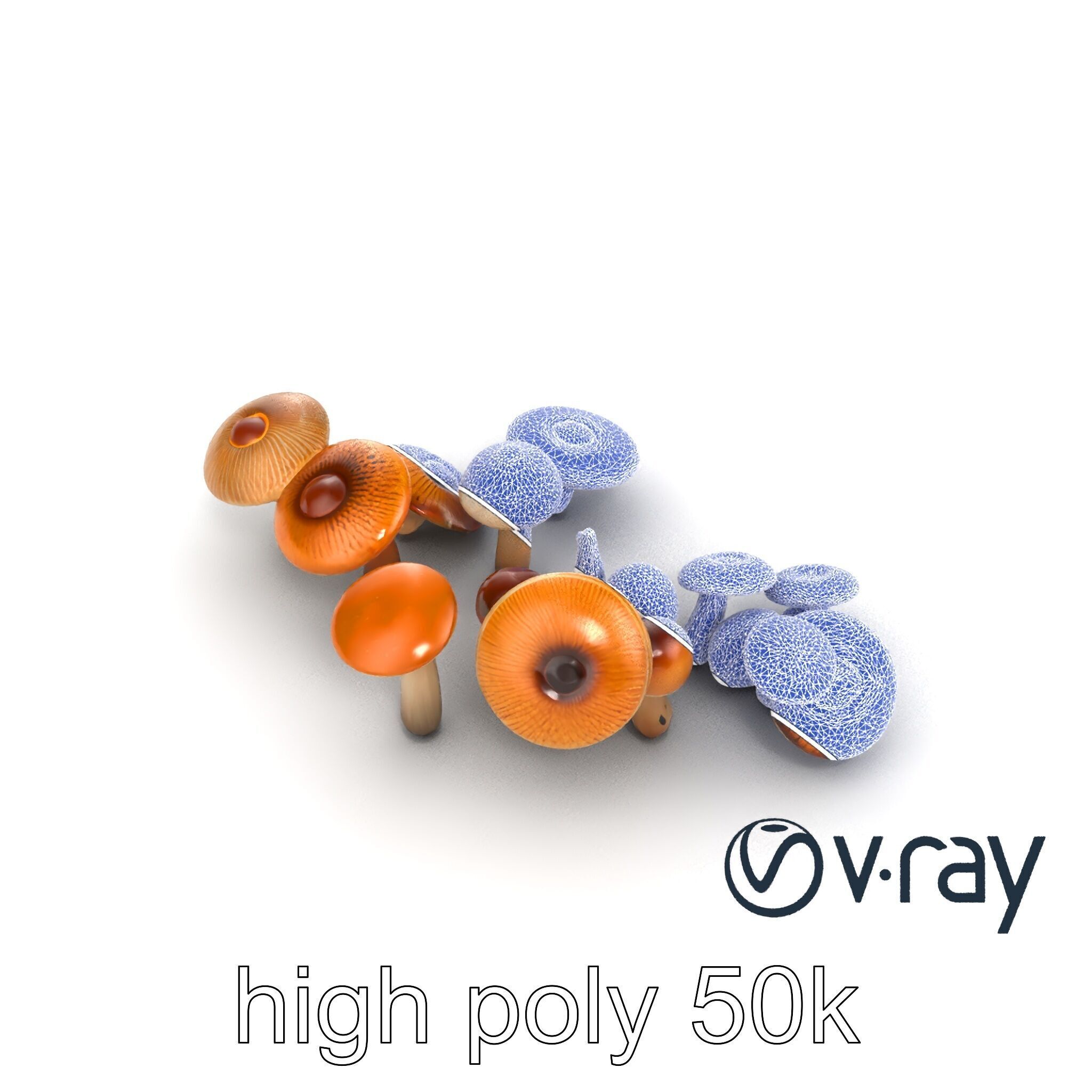 Mushroom Forest Collection model pack Low-poly 3D model_29