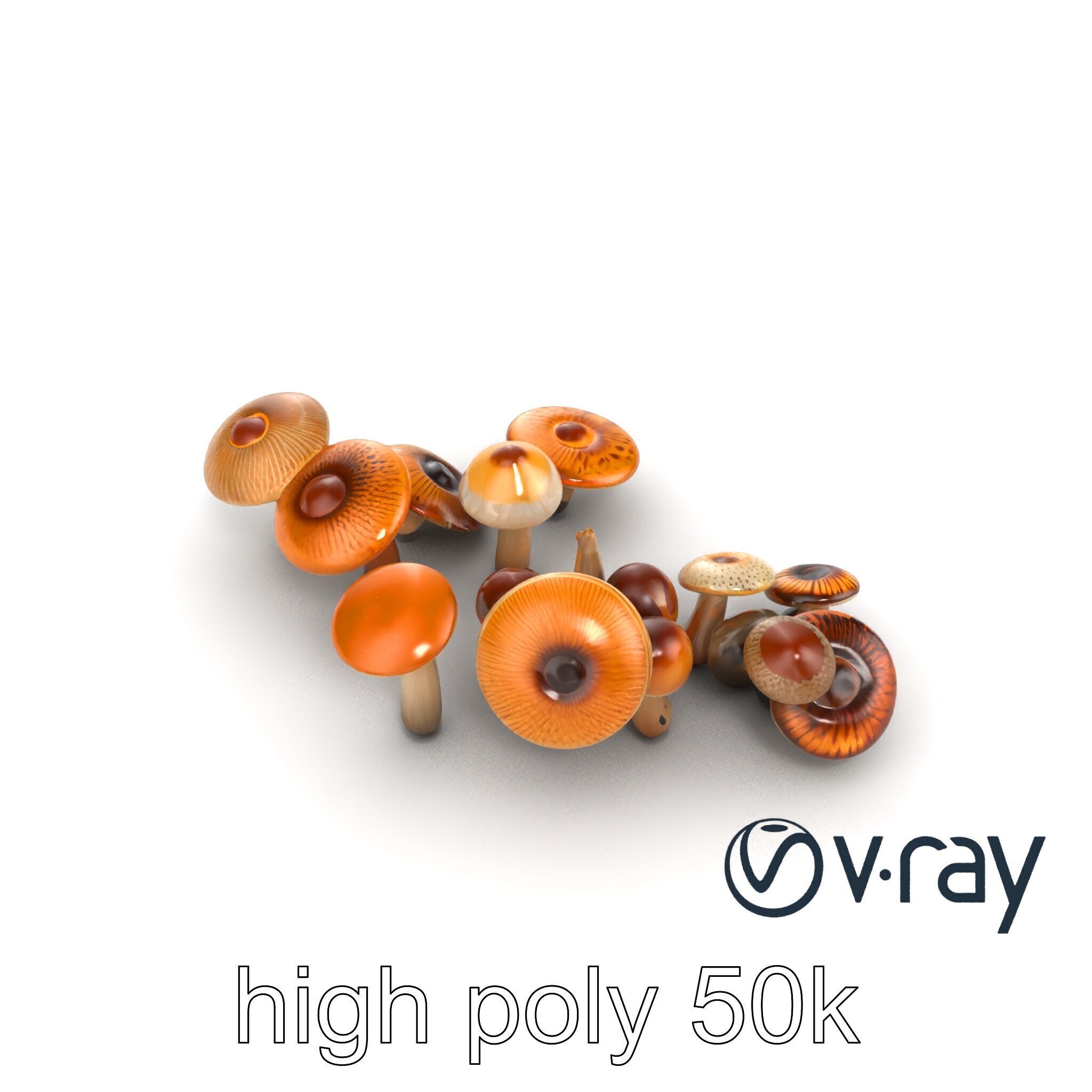 Mushroom Forest Collection model pack Low-poly 3D model_14