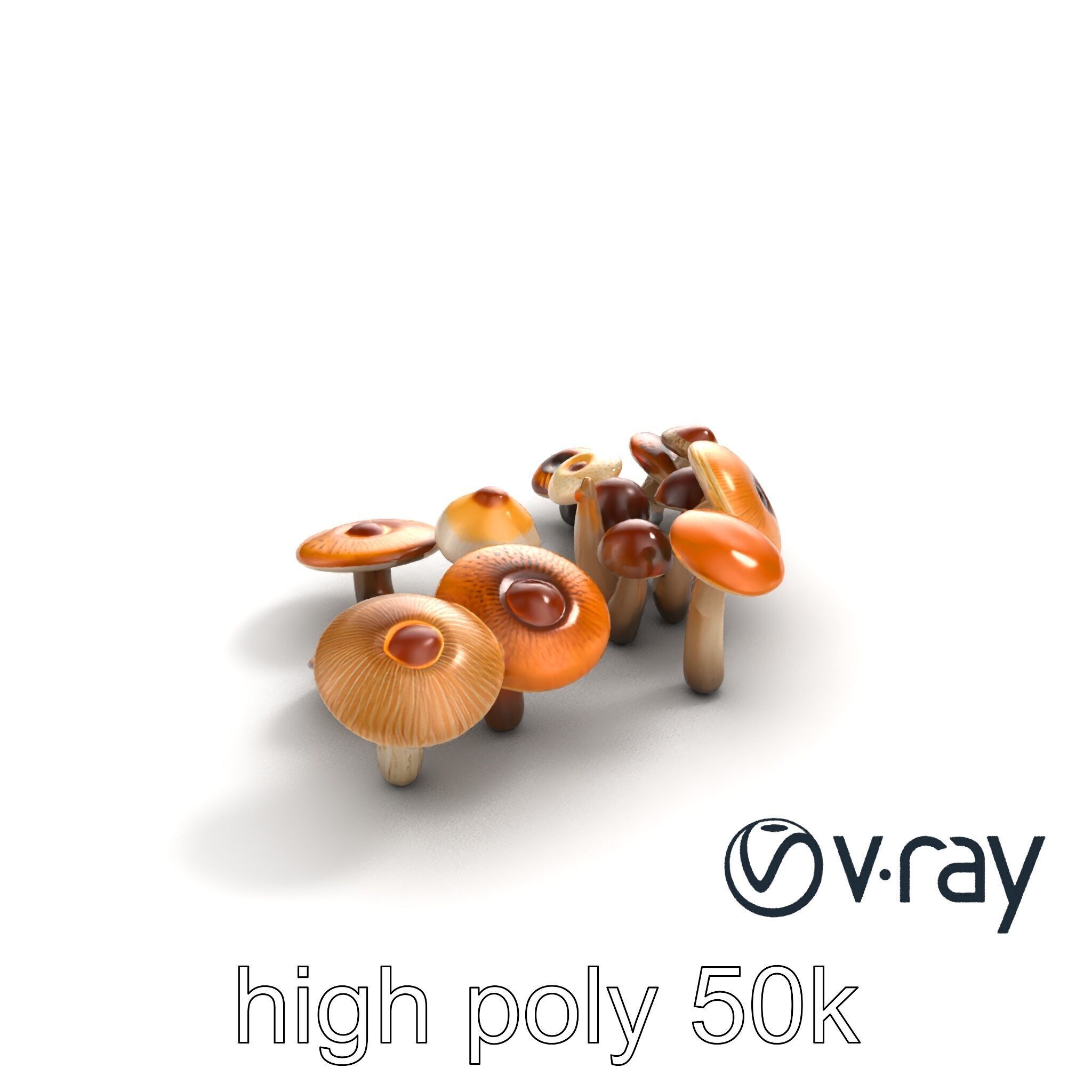 Mushroom Forest Collection model pack Low-poly 3D model_10