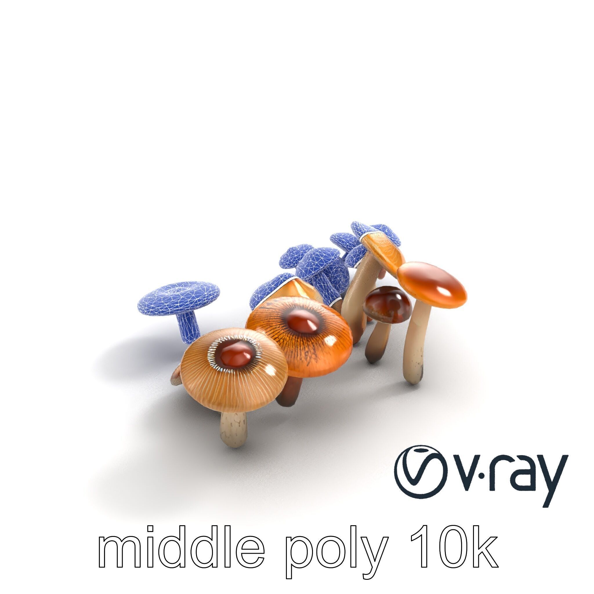 Mushroom Forest Collection model pack Low-poly 3D model_11