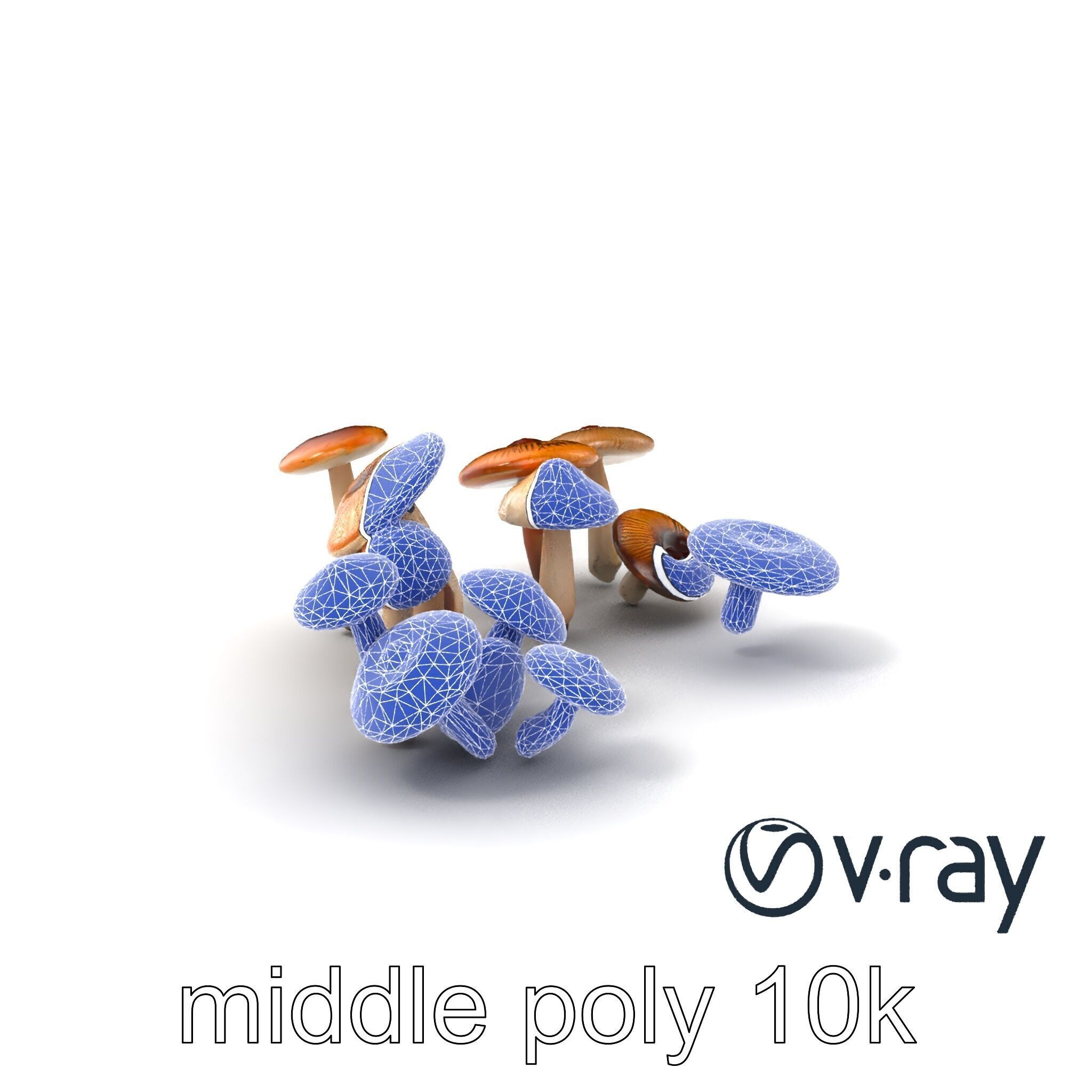 Mushroom Forest Collection model pack Low-poly 3D model_5