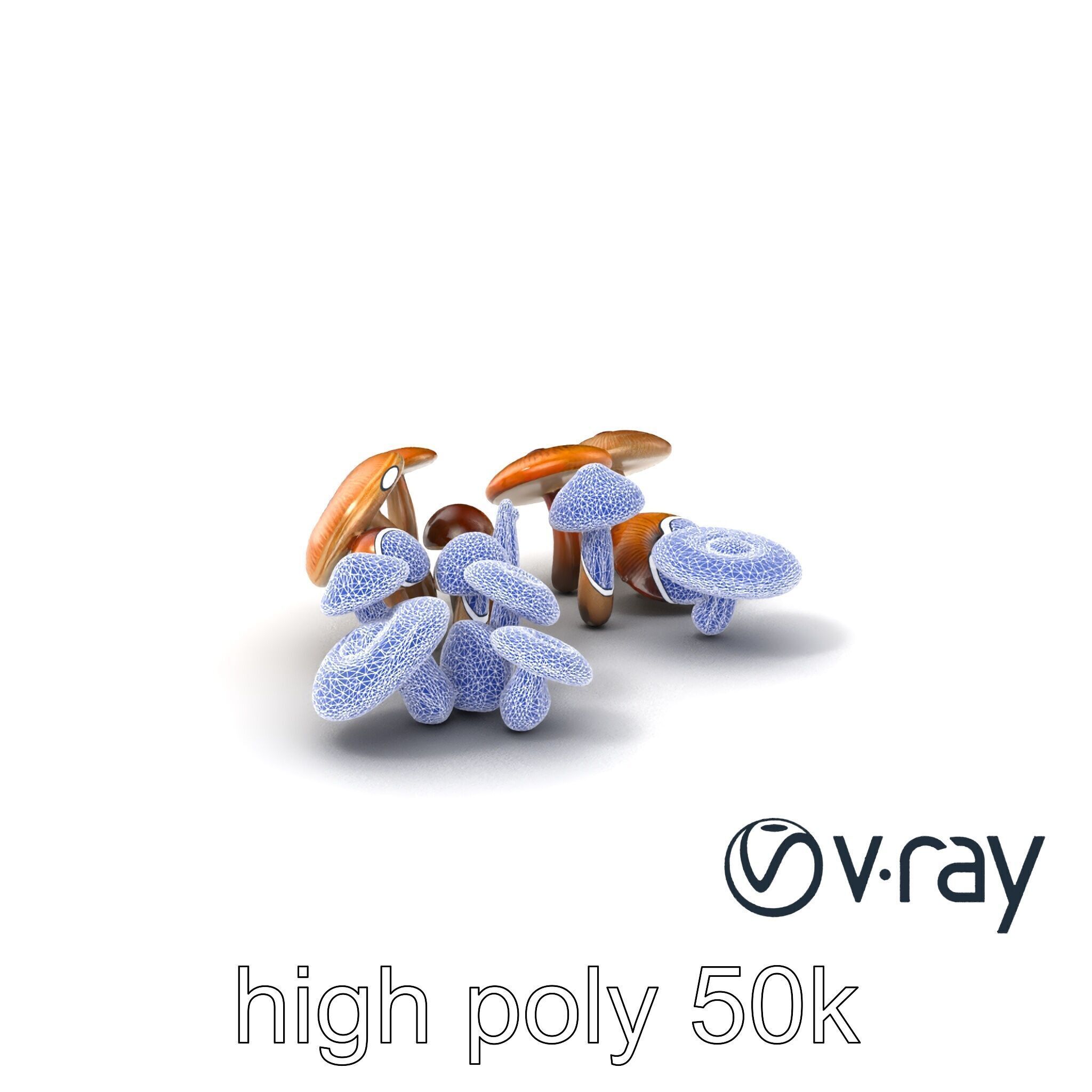 Mushroom Forest Collection model pack Low-poly 3D model_32