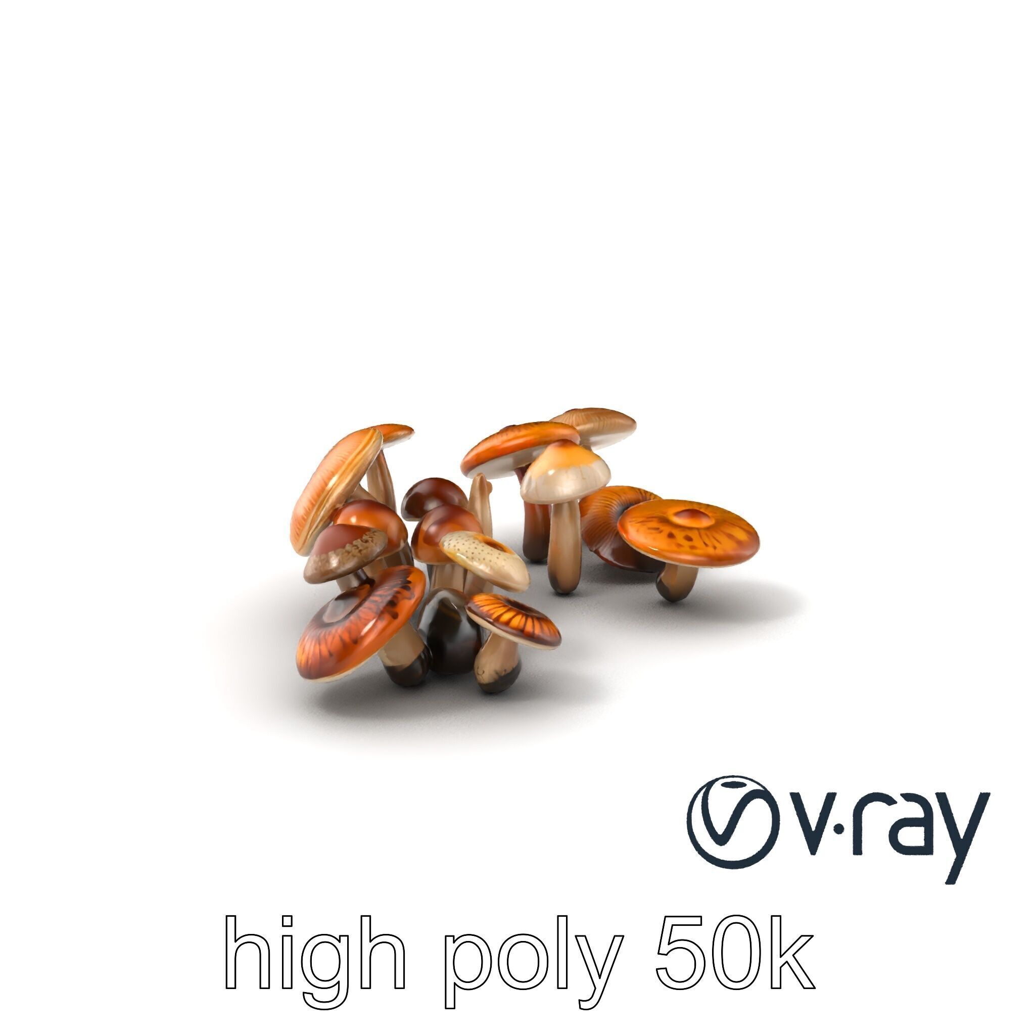 Mushroom Forest Collection model pack Low-poly 3D model_7