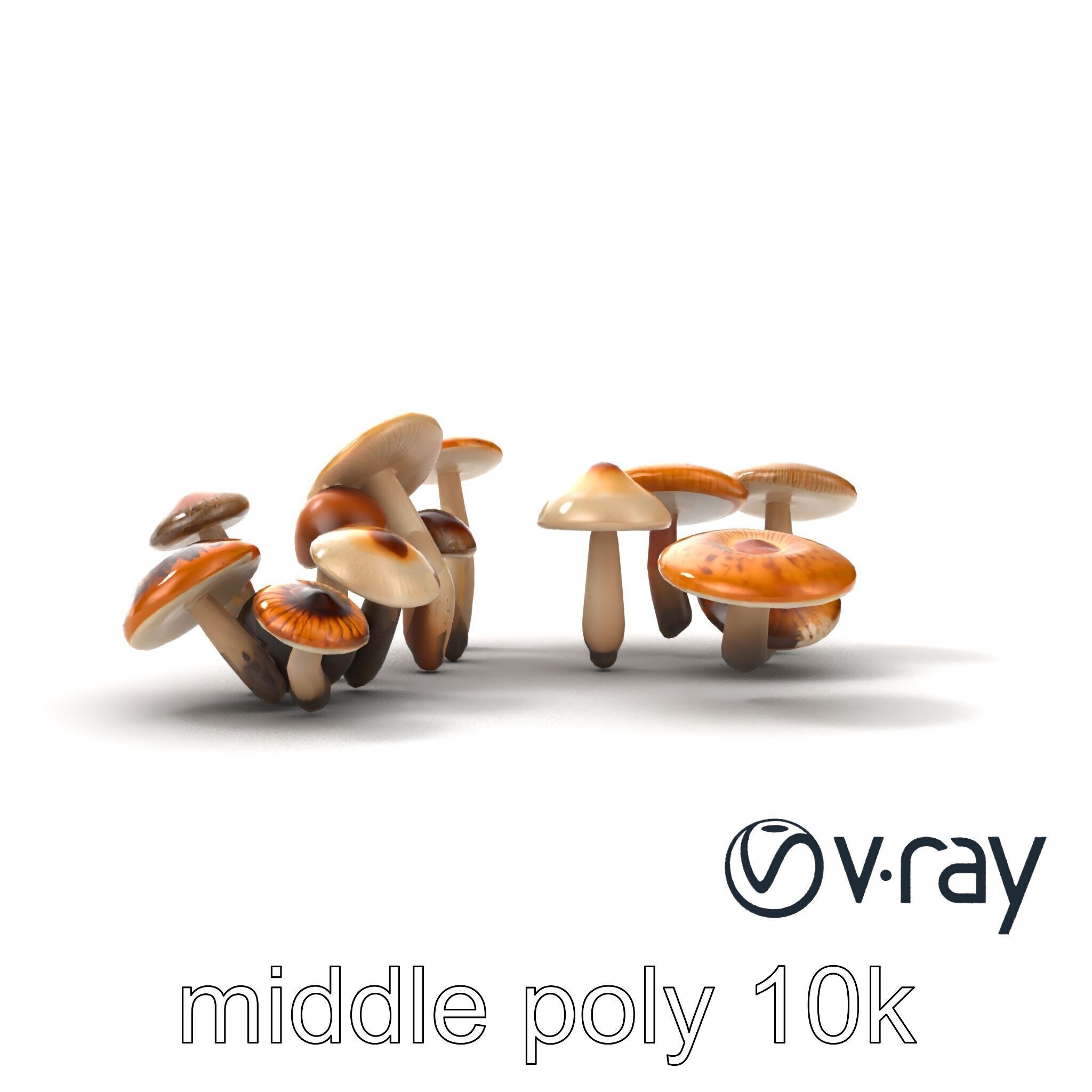 Mushroom Forest Collection model pack Low-poly 3D model_28