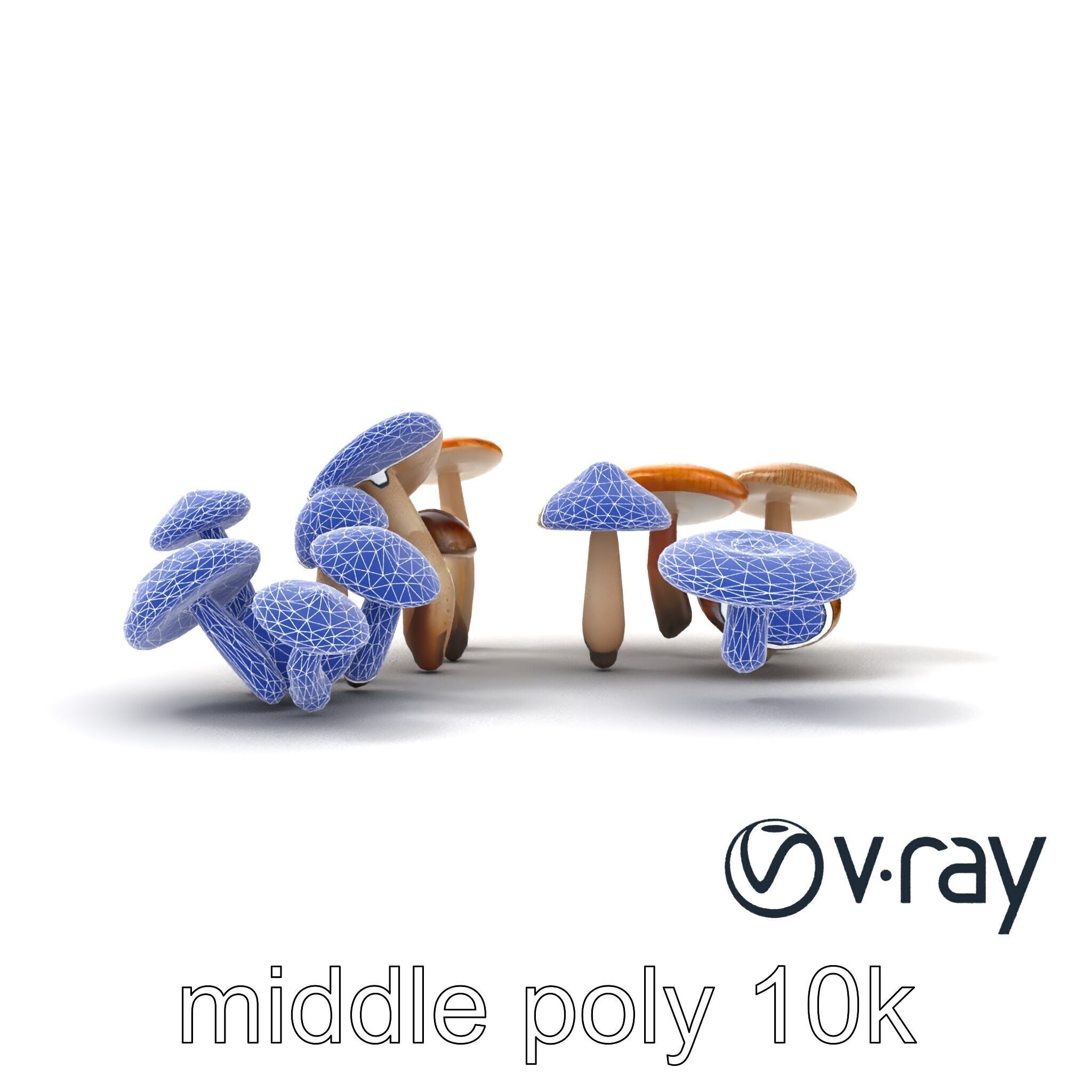 Mushroom Forest Collection model pack Low-poly 3D model_20