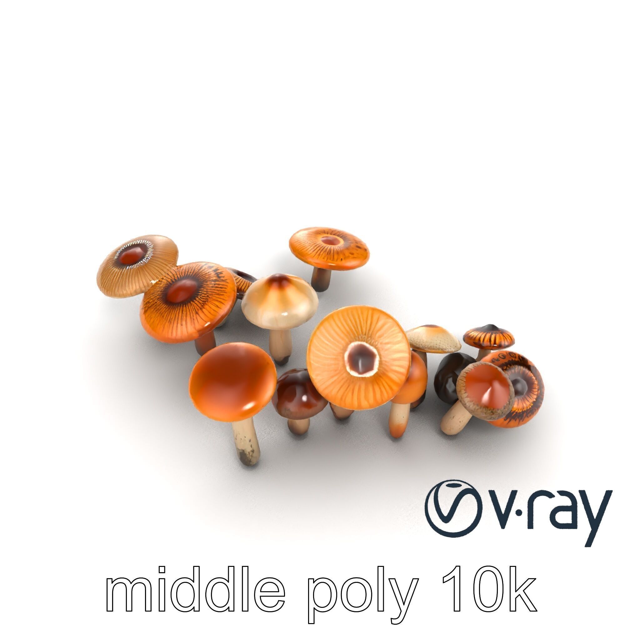 Mushroom Forest Collection model pack Low-poly 3D model_25