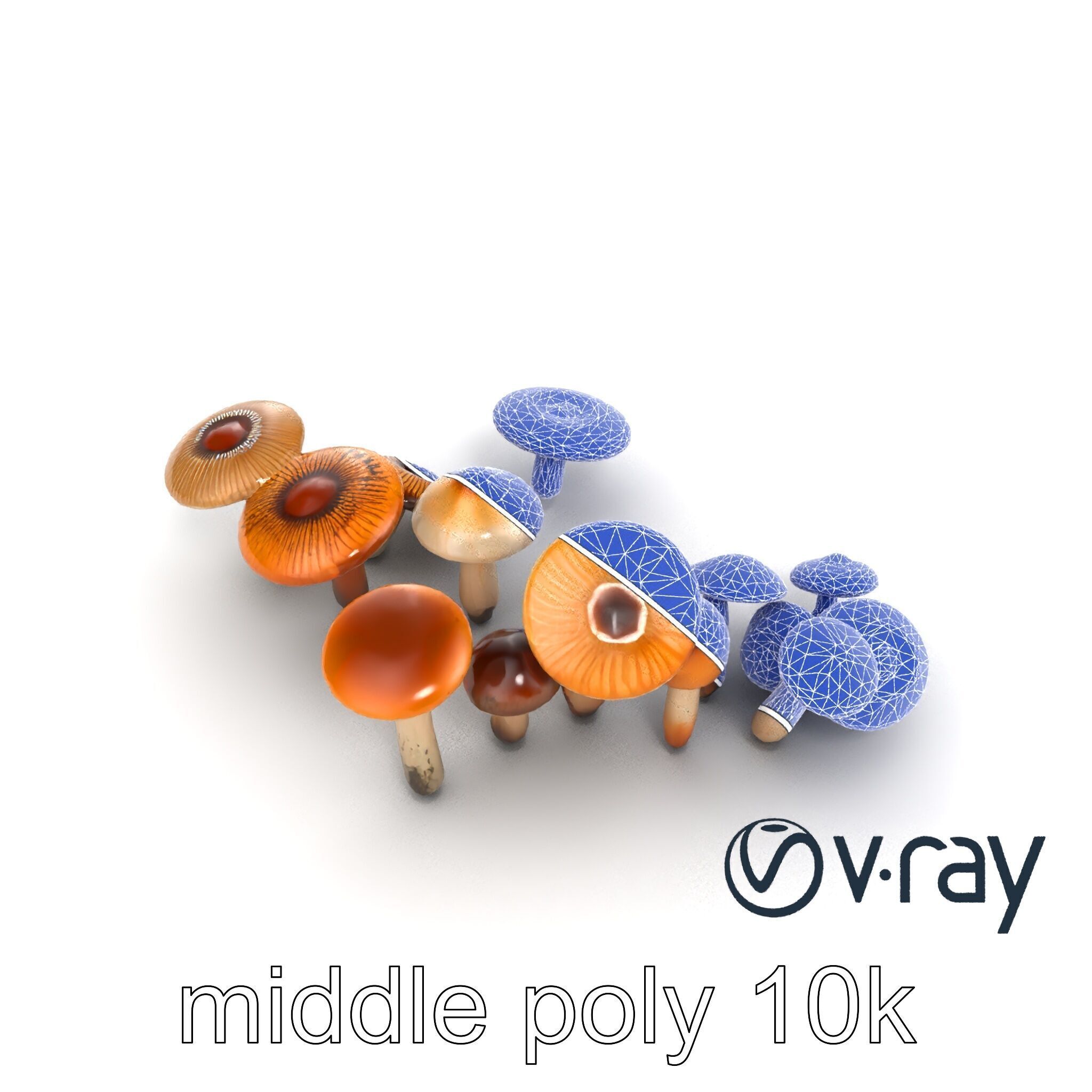 Mushroom Forest Collection model pack Low-poly 3D model_31