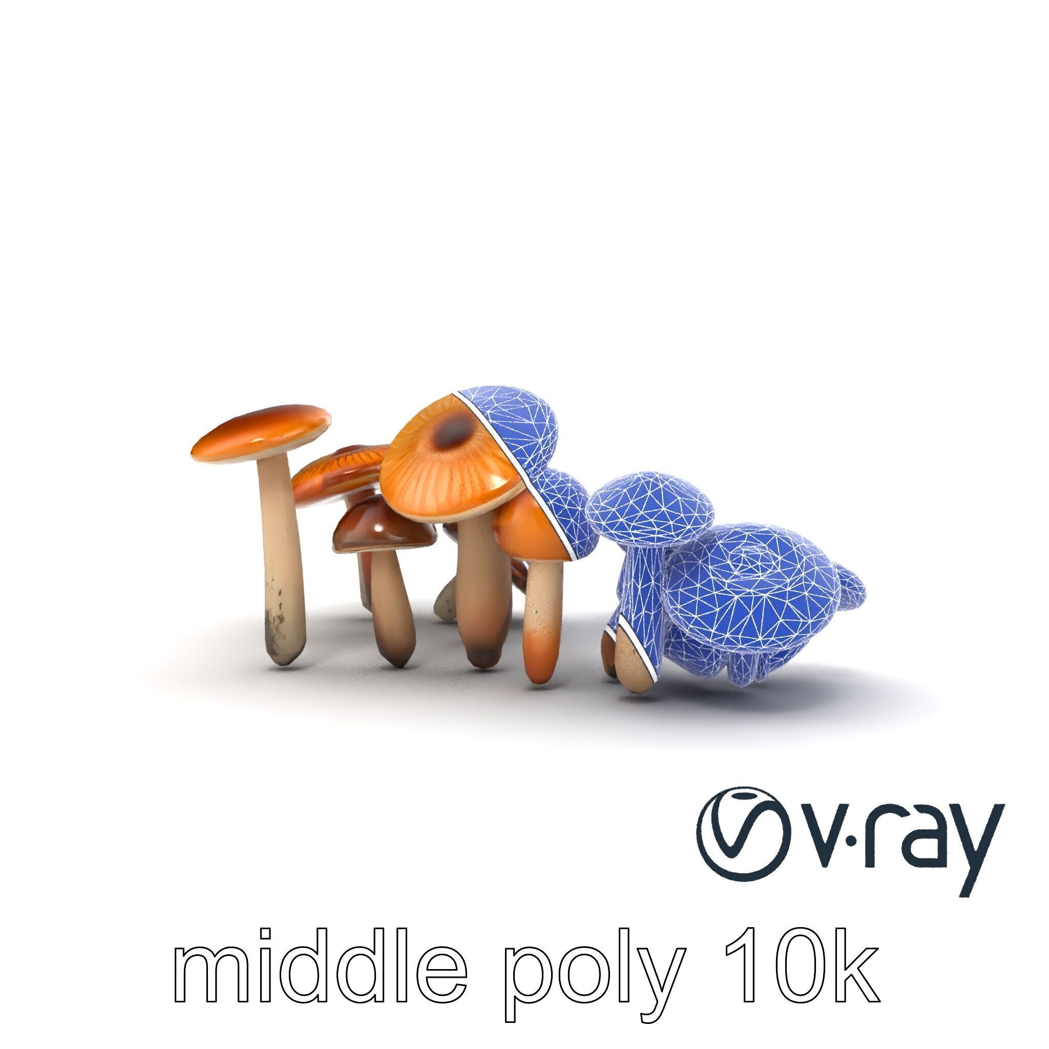 Mushroom Forest Collection model pack Low-poly 3D model_23