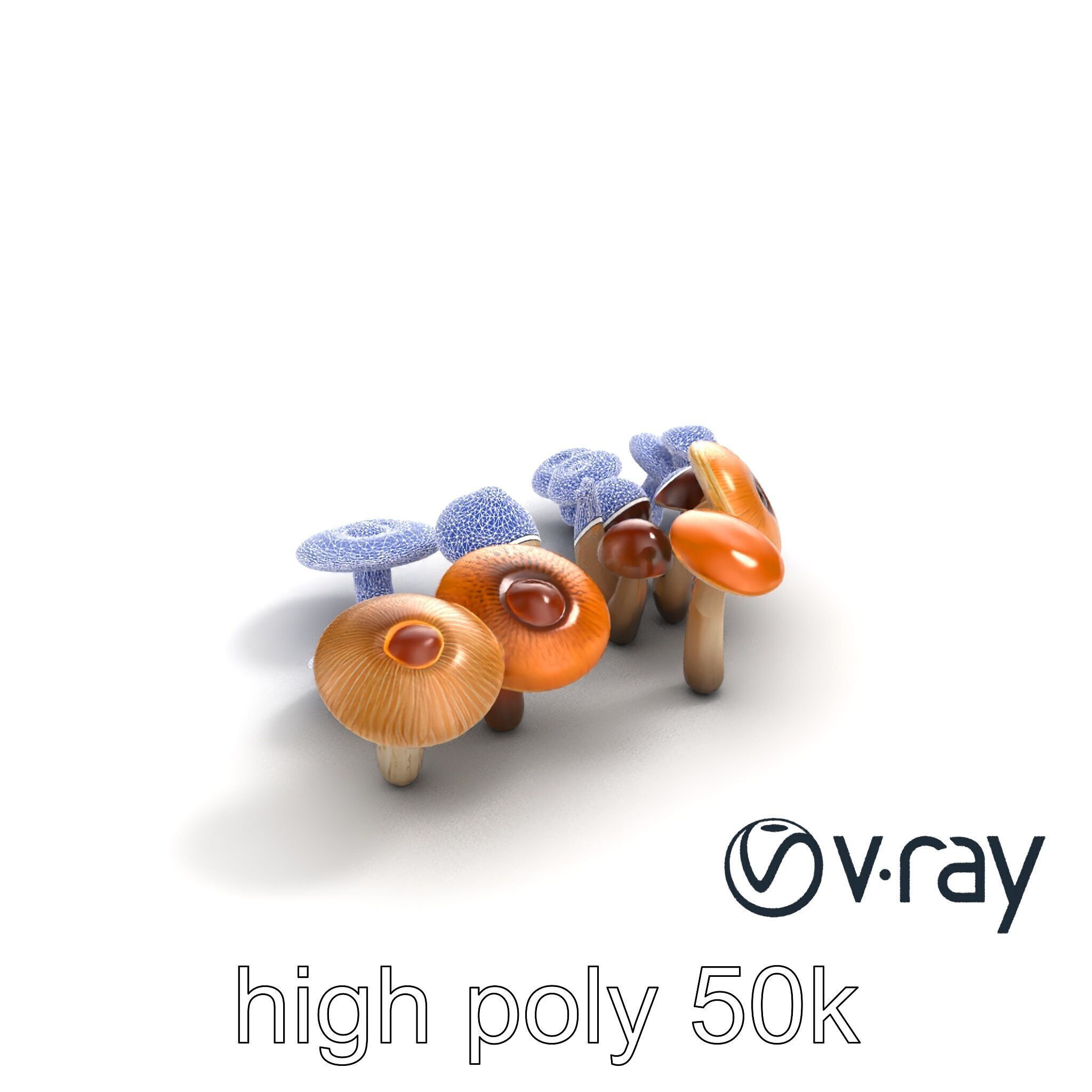 Mushroom Forest Collection model pack Low-poly 3D model_17