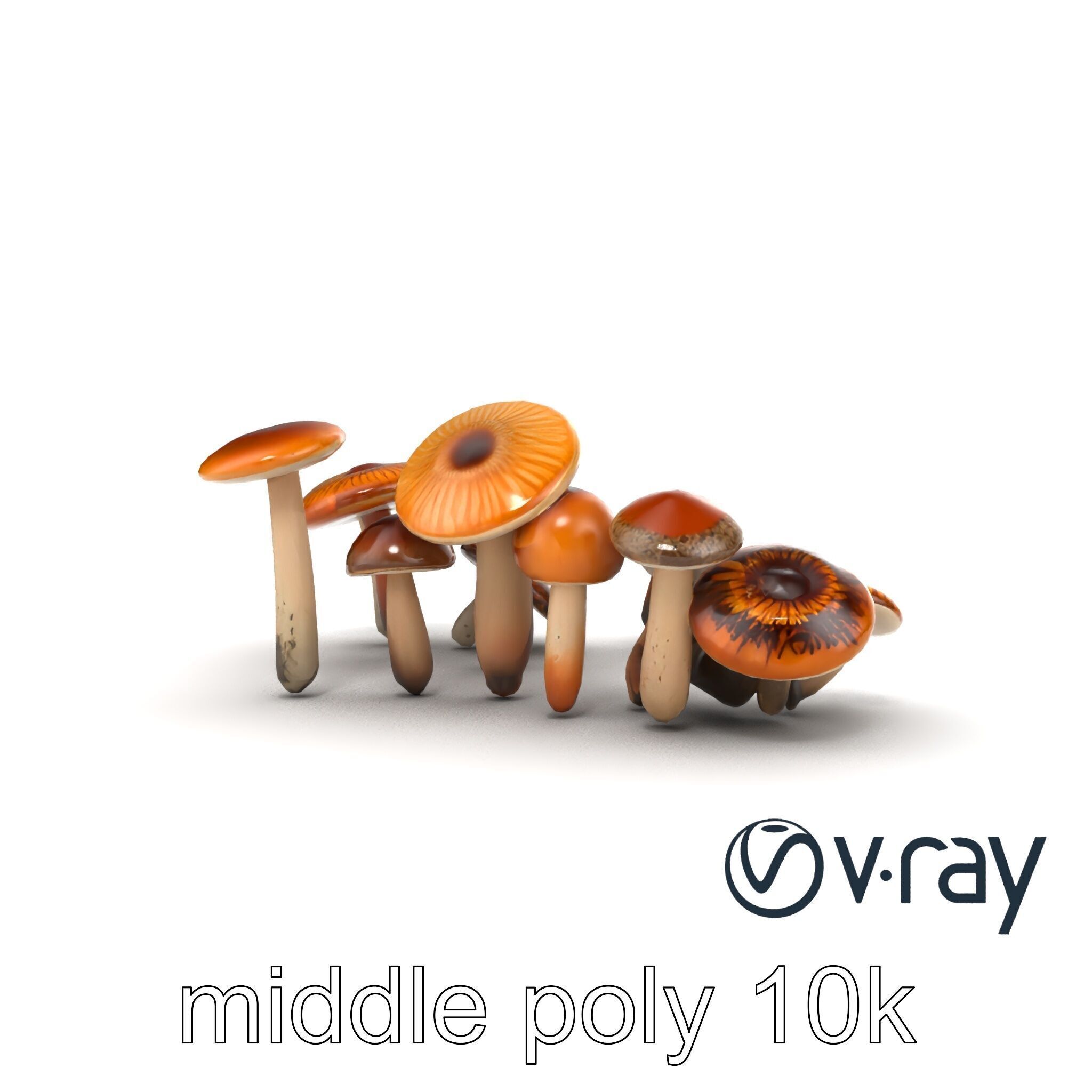 Mushroom Forest Collection model pack Low-poly 3D model_27