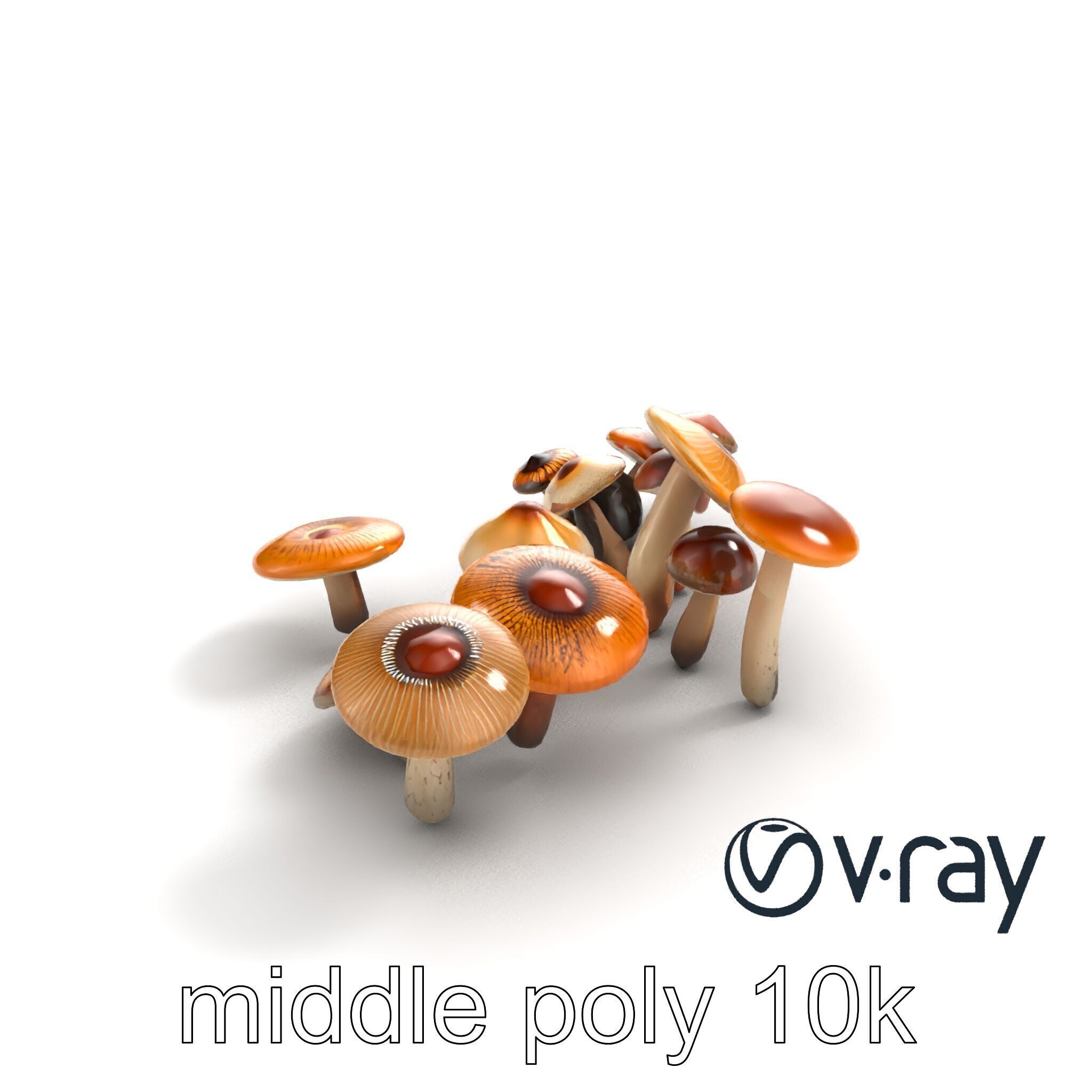 Mushroom Forest Collection model pack Low-poly 3D model_8