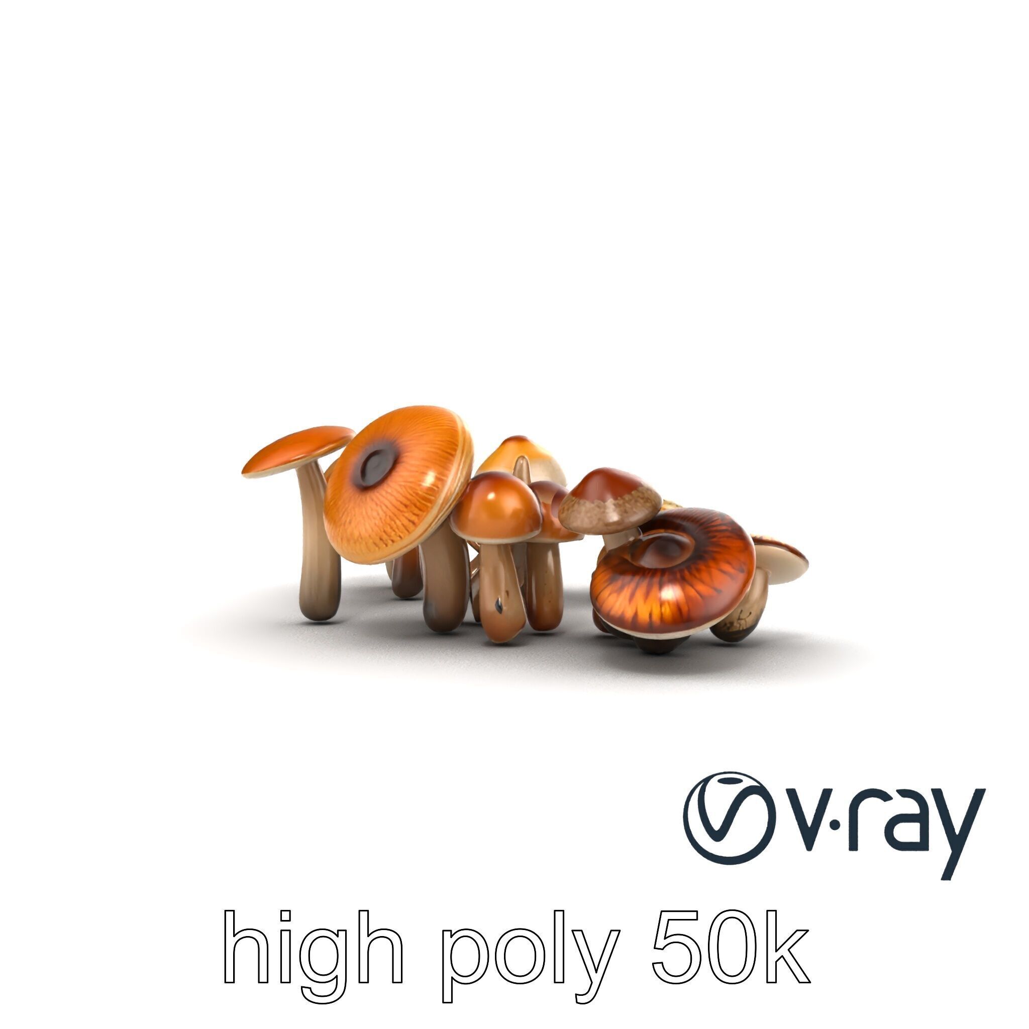 Mushroom Forest Collection model pack Low-poly 3D model_13